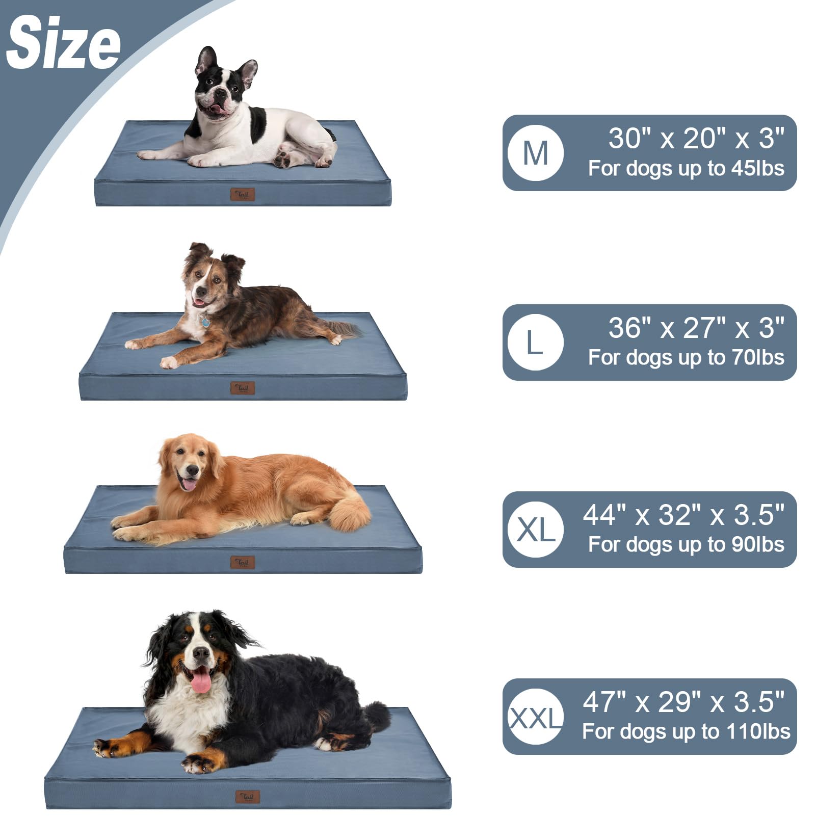 Tail Stories Medium Dog Bed For Medium/Small Dogs, Orthopedic Dog Beds With Removable Washable Waterproof Cover, Egg Crate Foam Pet Bed Mat, Blue