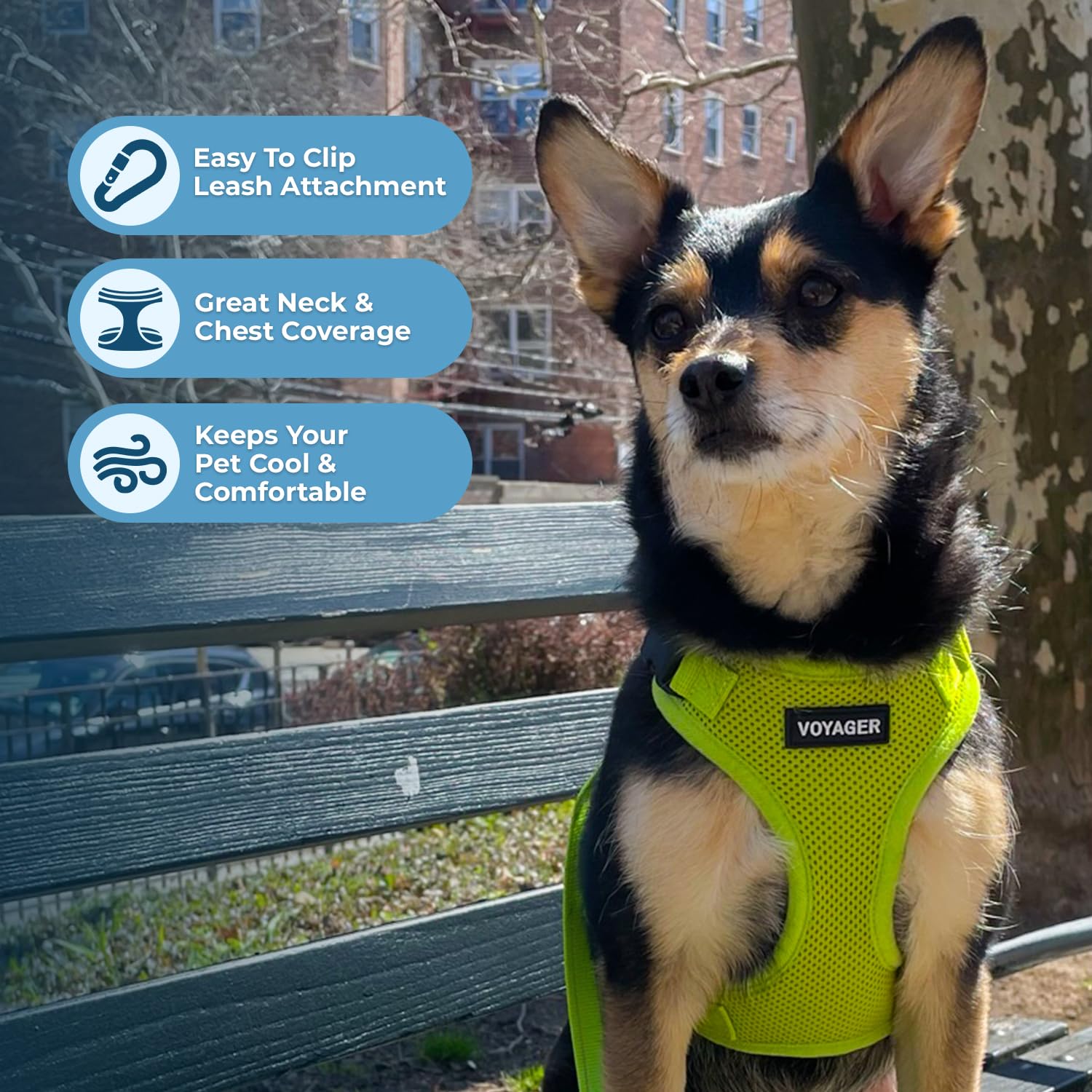 Voyager Step-in Pet Harness - All Weather Mesh, Adjustable Step in Harness for Cats and Dogs by Best Pet Supplies - Lime Green,