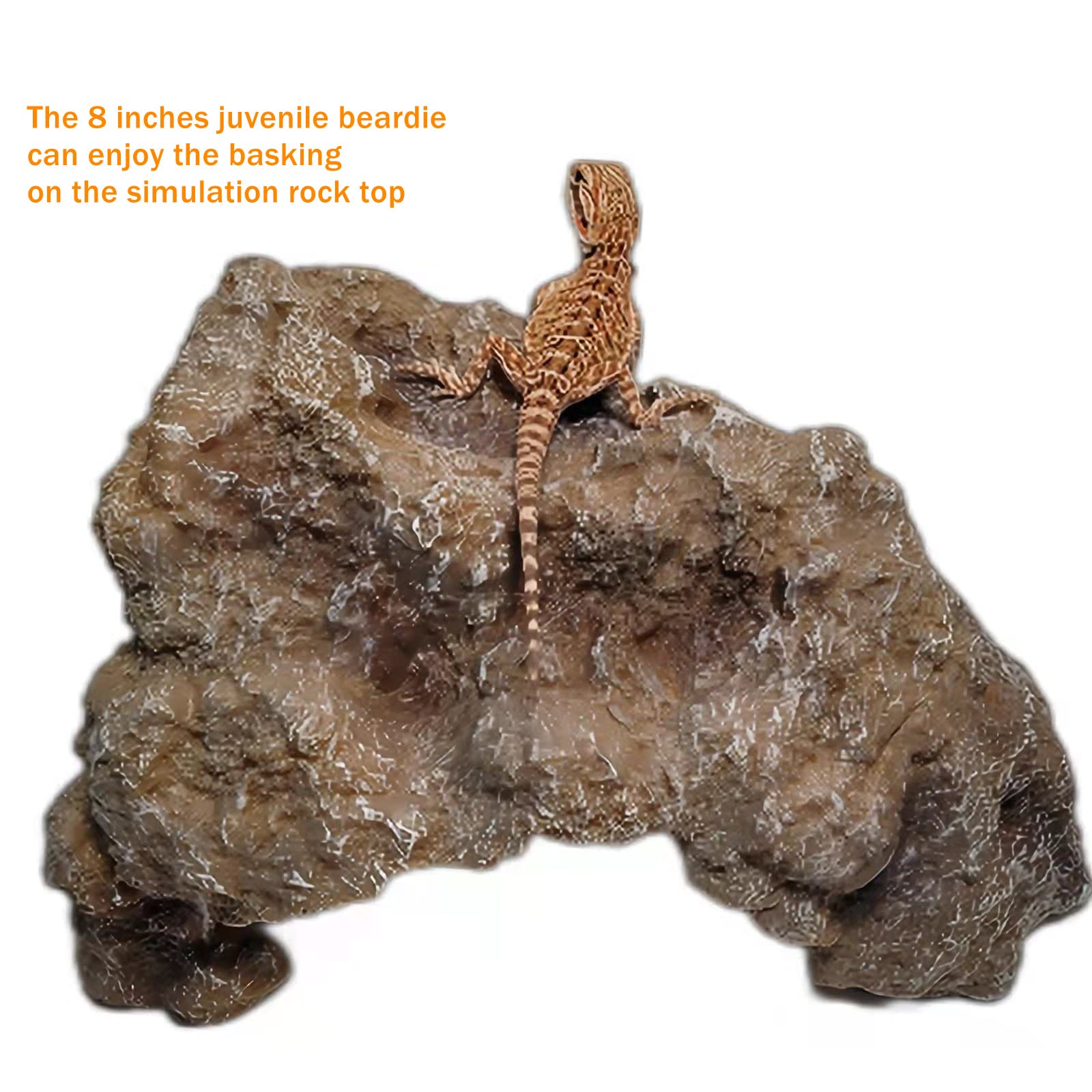 Runxf Reptile Simulation Rock Hideouts Cave Amphibian Hides Resin Habitat Decor Shelter For Gecko Leopard Lizards Toad Turtle (Medium) Grey