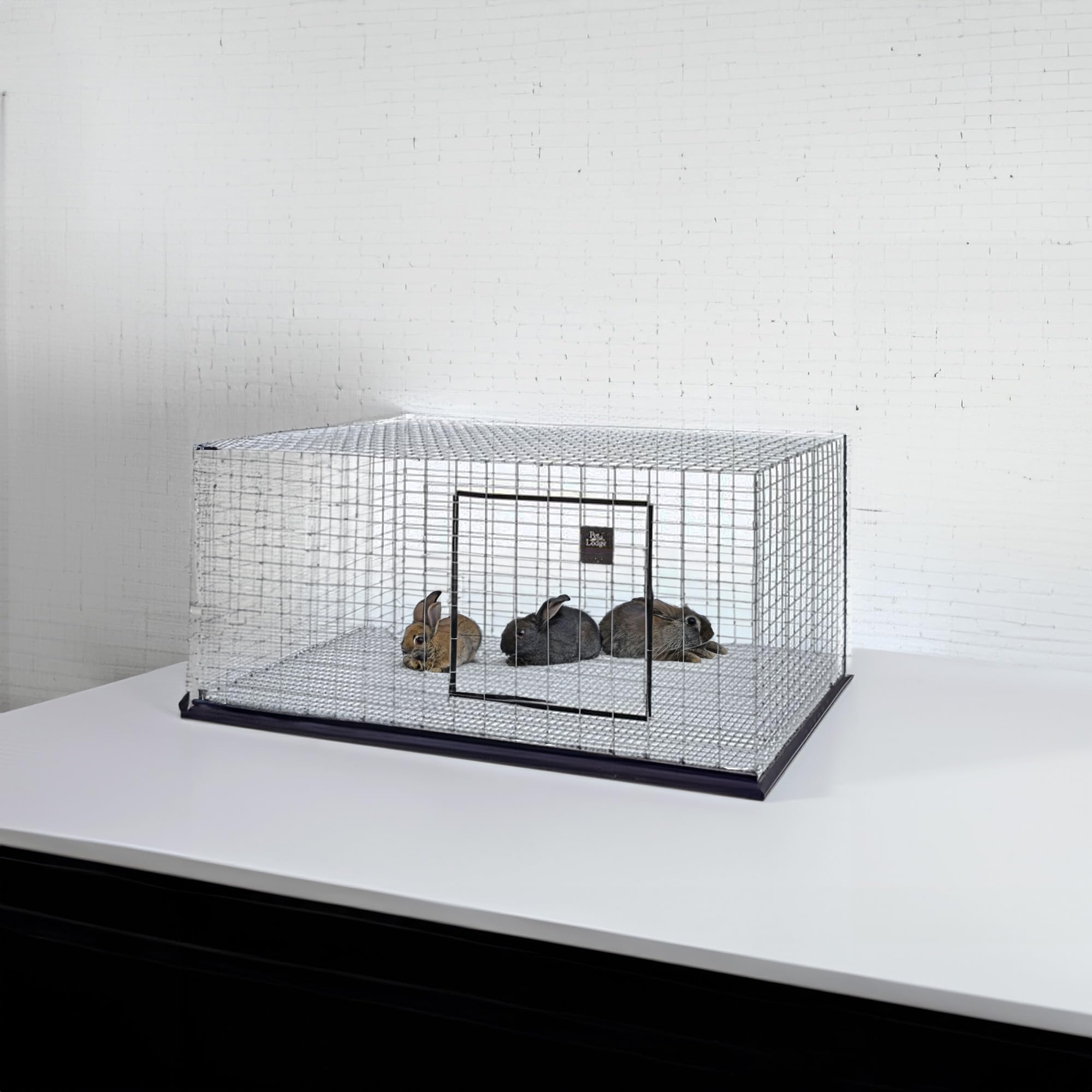 Little Giant Wire Rabbit Hutch - Pet Lodge - Heavy Duty Galvanized Rabbit Home, Easy To Assemble (30'' X 36'') (Item No. Ah3036)