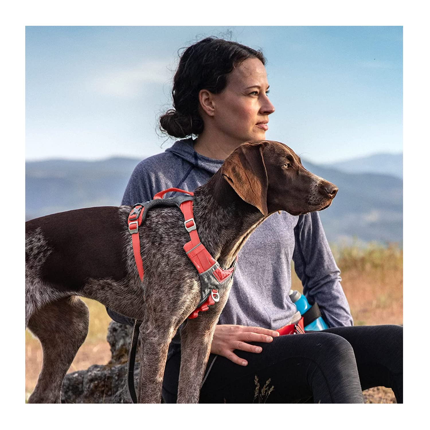 Kurgo Journey Air Dog Harness, Vest Harnesses For Dogs, Pet Hiking Harness For Running & Walking, Reflective, Padded, Includes Control Handle, No Pull Front Clip (Coral, X-Large)