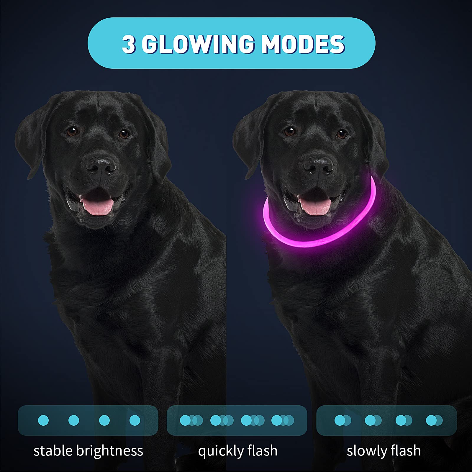 Frienda 4 Pcs Dog Collar Led Usb Rechargeable Lights Dog Necklace Collars Doggy Lights For Night Walking Adjustable Safety Lamp
