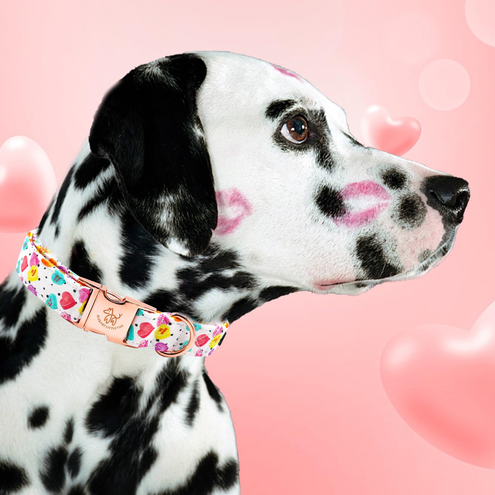 Elegant Little Tail Valentine's Day Collar - Pink Heart Cute Dog Collar, Adjustable for Small Dogs