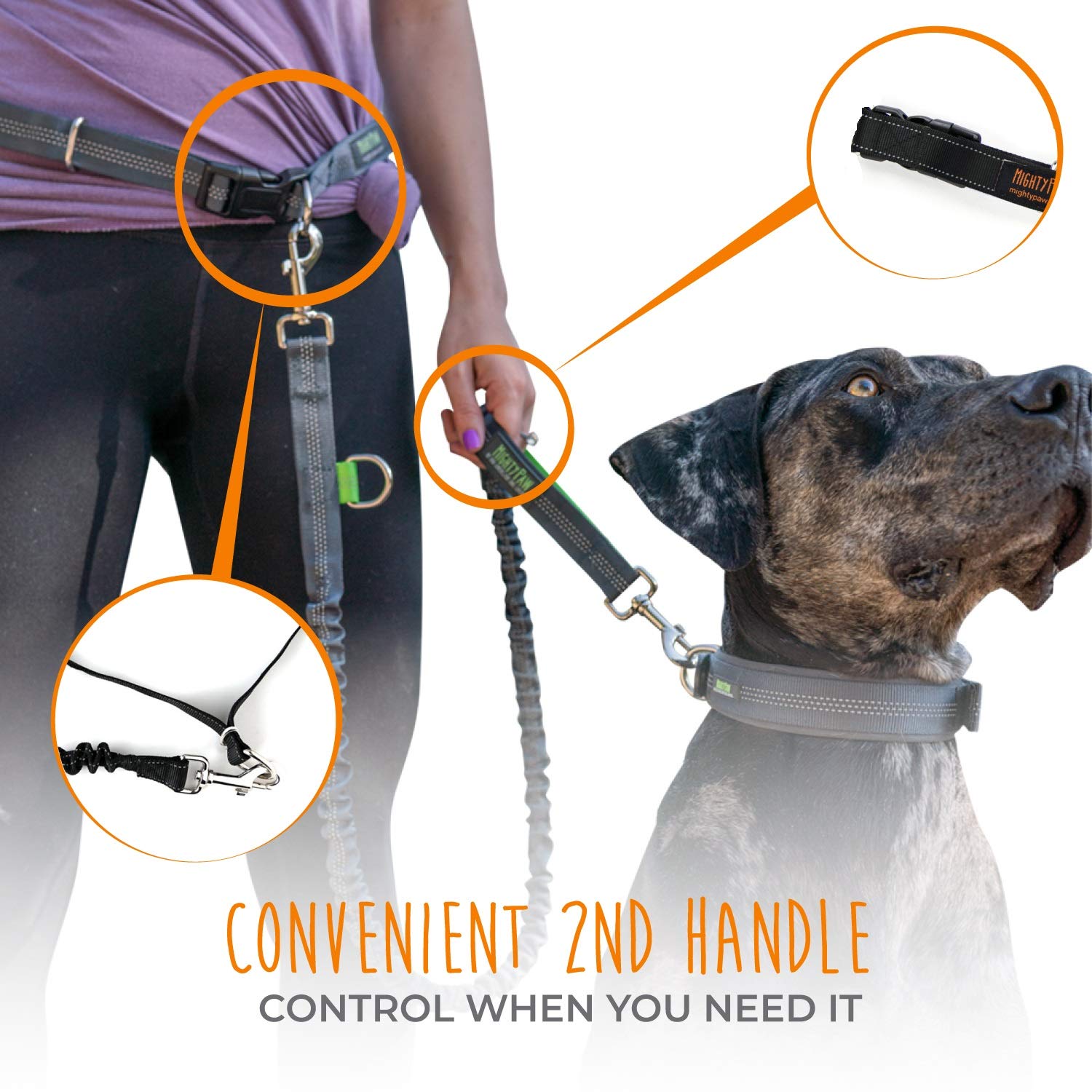 Mighty Paw Hands Free Dog Leash - Adjustable Hip Belt - Reflective Bungee System - Ideal For Training - Walking - Jogging - Hiki