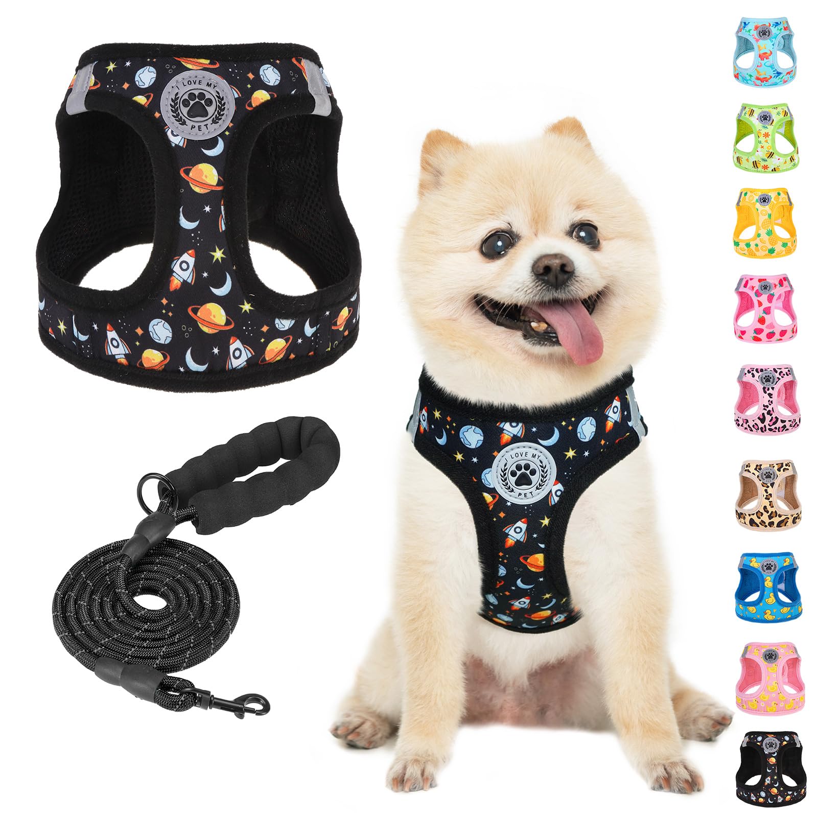 BEAUTYZOO Dog Harness Small Sized and Leash Set, Step-in Soft Padded Mesh Puppy Vest, Reflective Dog Harness No Pull No Choke, B