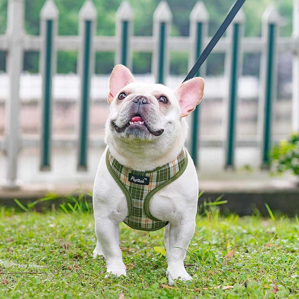 Pupteck Soft Mesh Dog Harness And Leash Set Pet Puppy Cat Comfort Padded Vest No Pull Harnesses, Olive Green, S