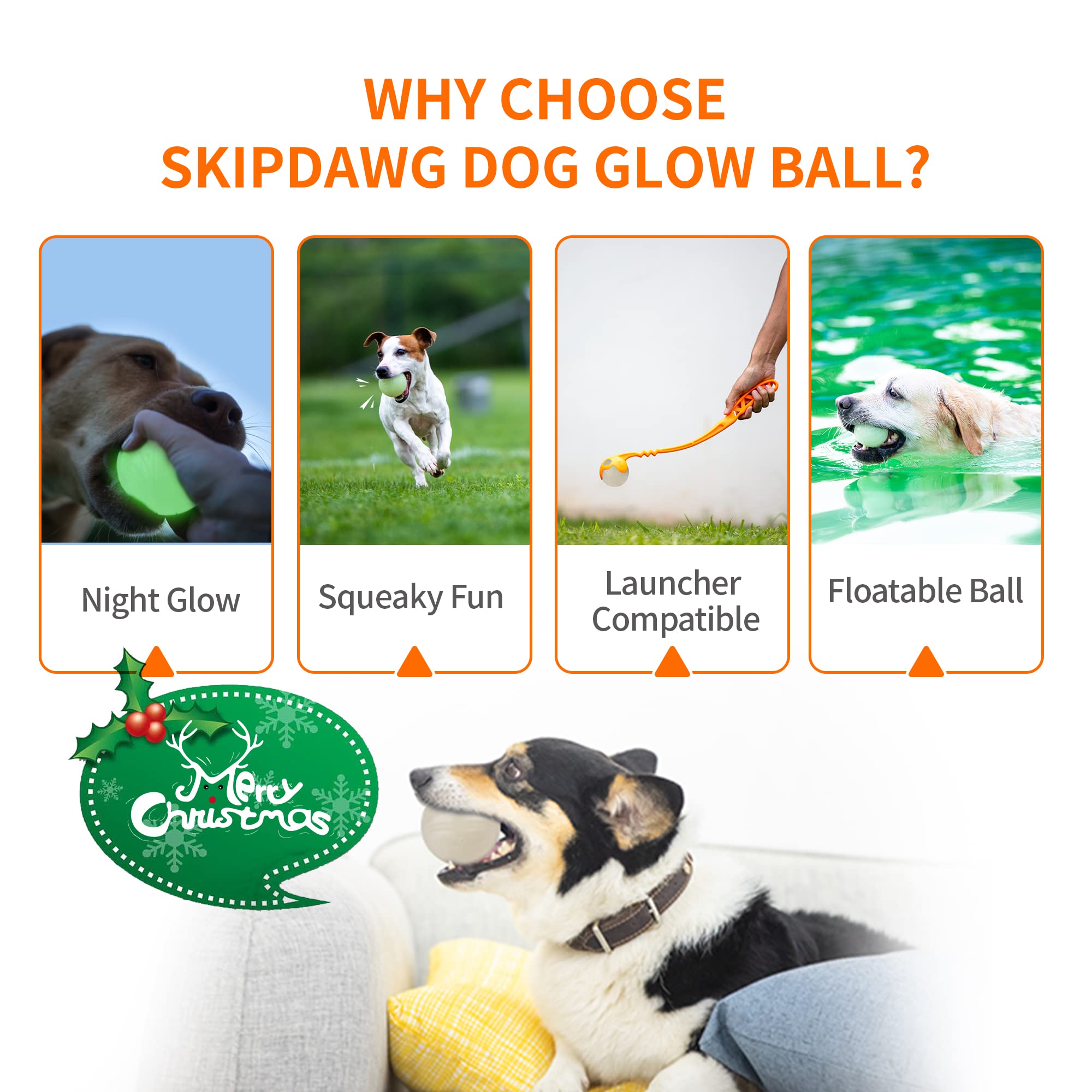SKIPDAWG Interactive Dog Glow Balls, Rubber, 2.5" Light Up Squeaky Balls, 2 Pack, Durable TPR, Glow Balls