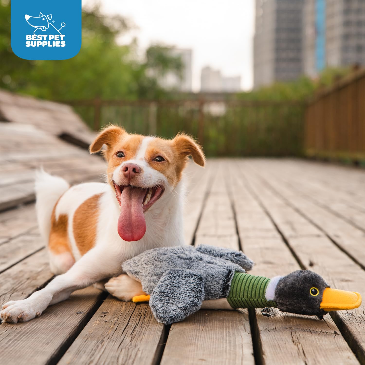 Best Pet Supplies Interactive Mallard Mates Dog Toy With Crinkle And Squeaky Enrichment For Small And Medium Breed Puppies Or Do