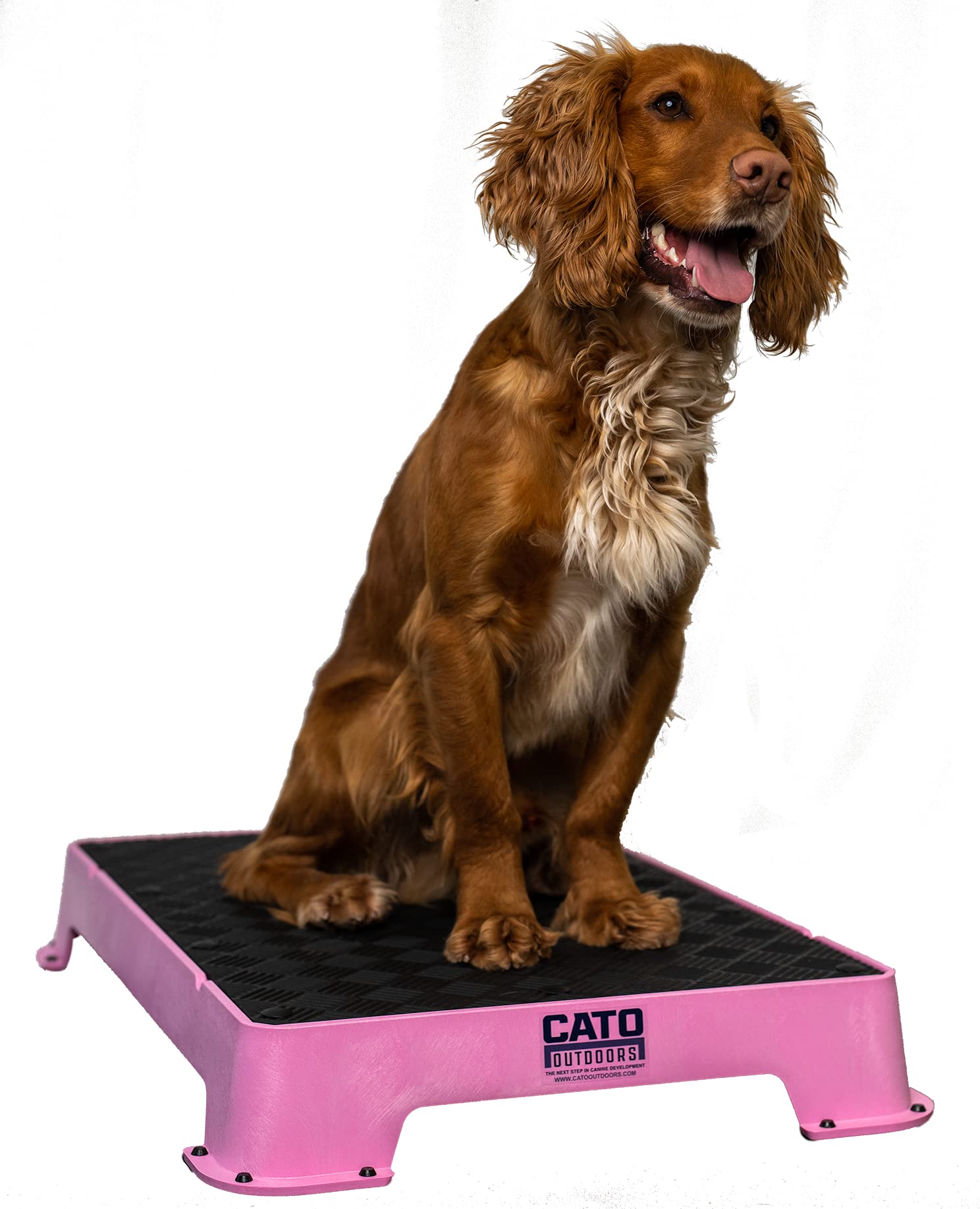 Cato Board - Dog Training Platform (Pink, Rubber Surface)