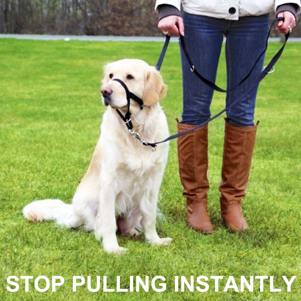 Soft Dog Head Collar, No Pull Training Tool For Small Medium Large Dogs On Walks, Gentle Training Collar And Control For Heavy Pullers, Includes Free Training Guide (M, Blue)