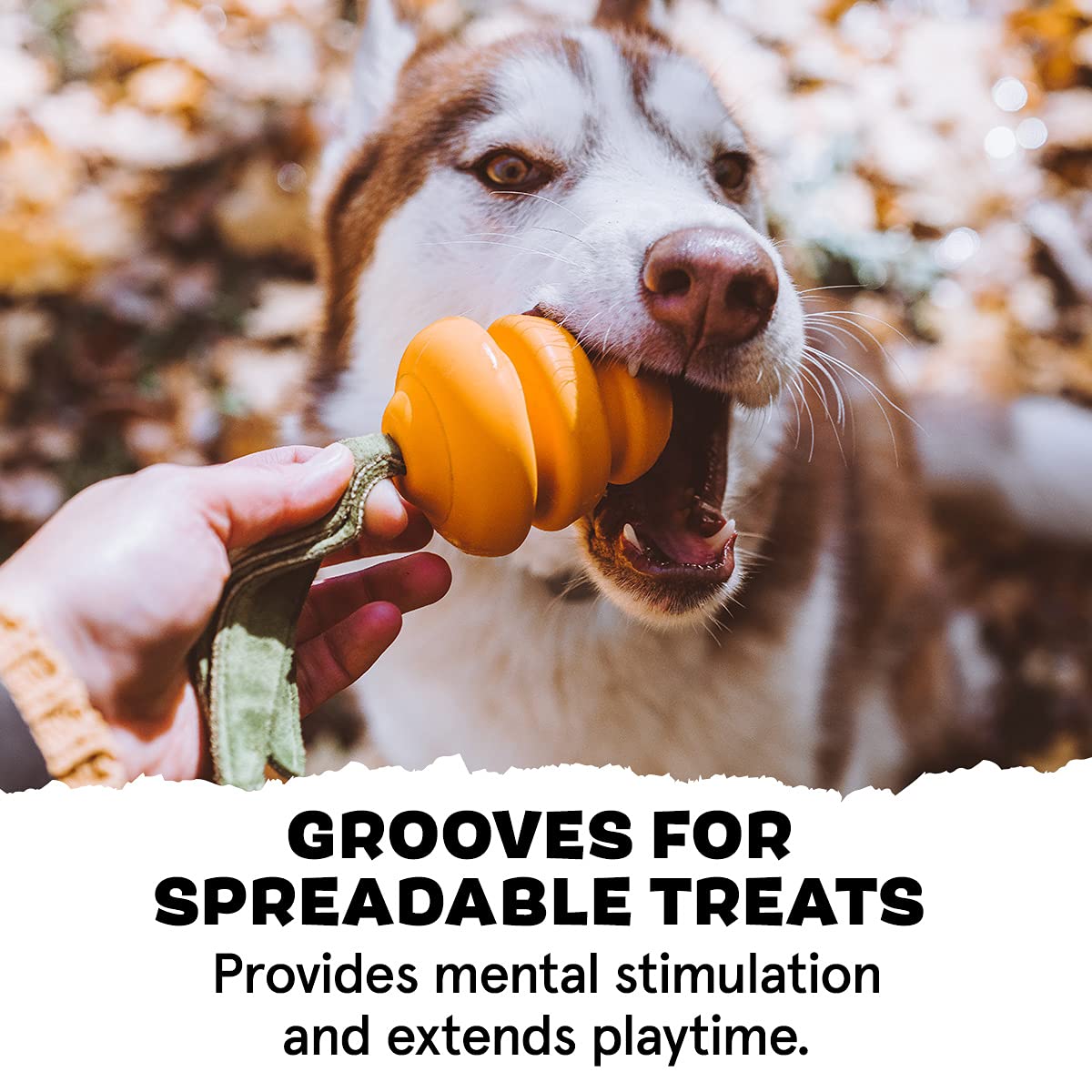 Barkbox Super Chewer Tough Dog Chew Toys For Aggressive Chewers, Treat Dispensing (Carrot - Small)