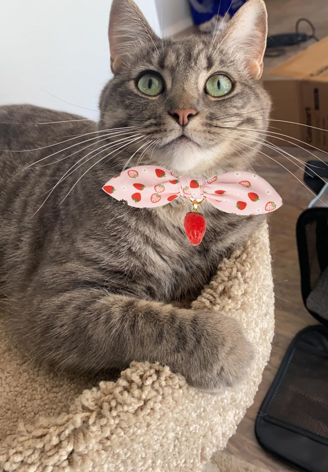 Ewinoom 2 Pack Breakaway Cat Collars With Cute Bunny Ear Bowtie And Bell, Bow Tie Kitty Collars For Female Girl Cats(Yellow Bee