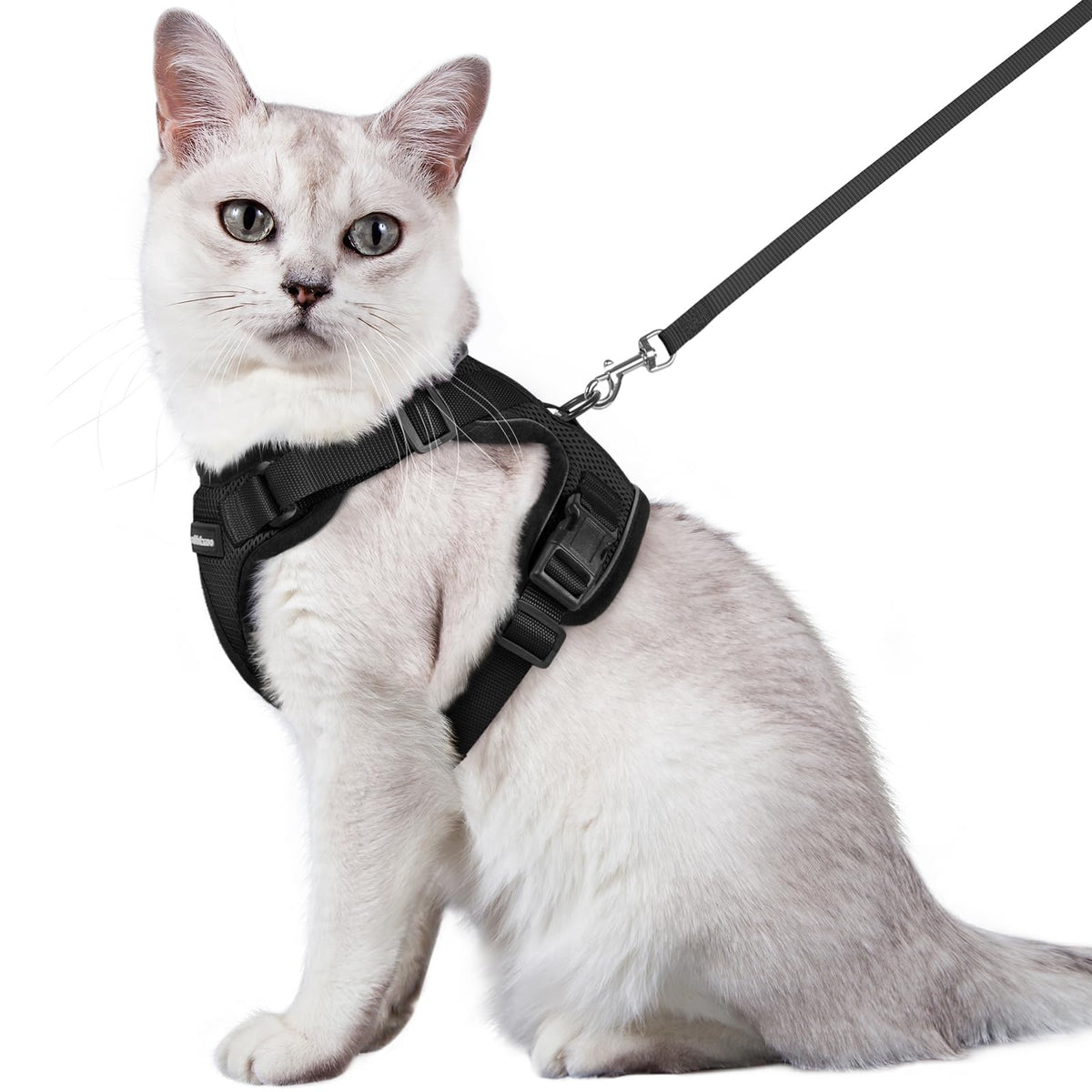 Rabbitgoo Cat Harness And Leash For Walking, Escape Proof Soft Adjustable Vest Harnesses For Cats, Easy Control Breathable Reflective Strips Jacket, Black, M