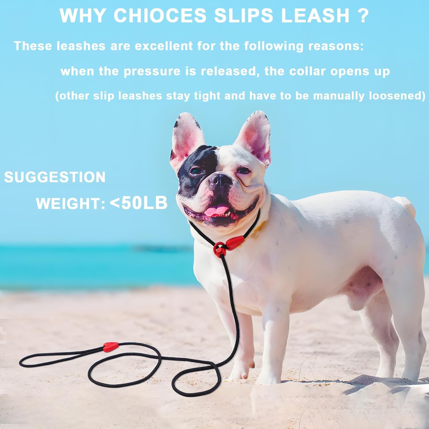 Slip Leads For Dogs Puppy Leash Comfortable 5Ft Heavy Duty Loop Leash No Pull Pet Training Leash 6 Colors Classic Dog Leash For