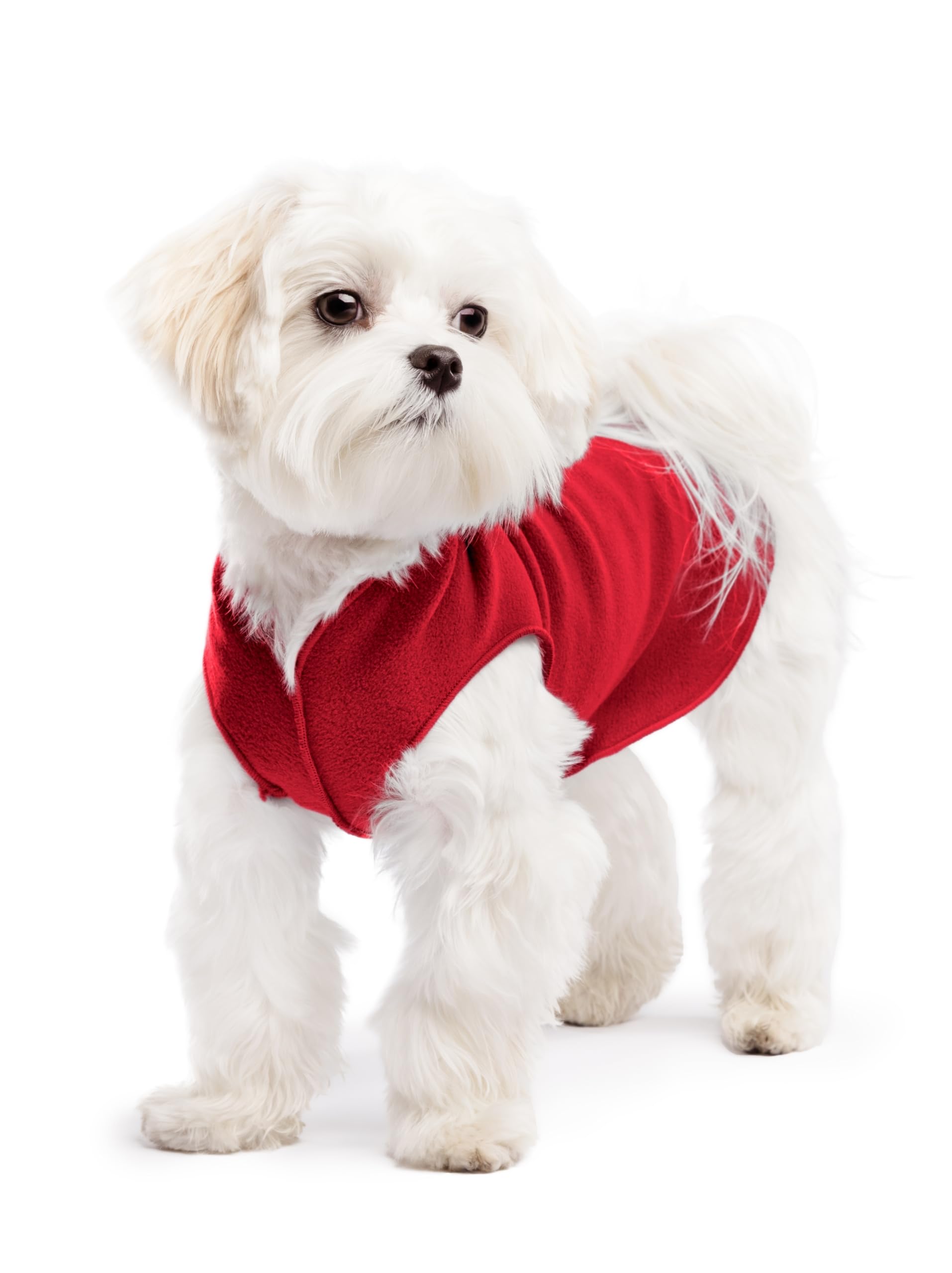 Gold Paw Stretch Fleece Dog Coat, Stretchy Pet Sweater, Machine Washable Pullover for Winter and Fall, Red, 8
