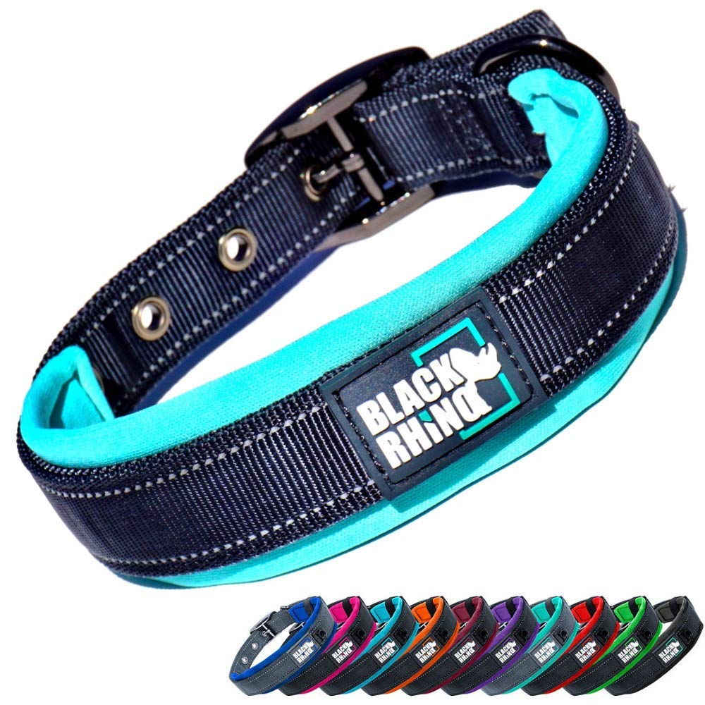 Black Rhino - The Comfort Collar Ultra Soft Neoprene Padded Dog Collar For All Breeds - Heavy Duty Adjustable Reflective Weatherproof (Medium, Aqua/Grey)