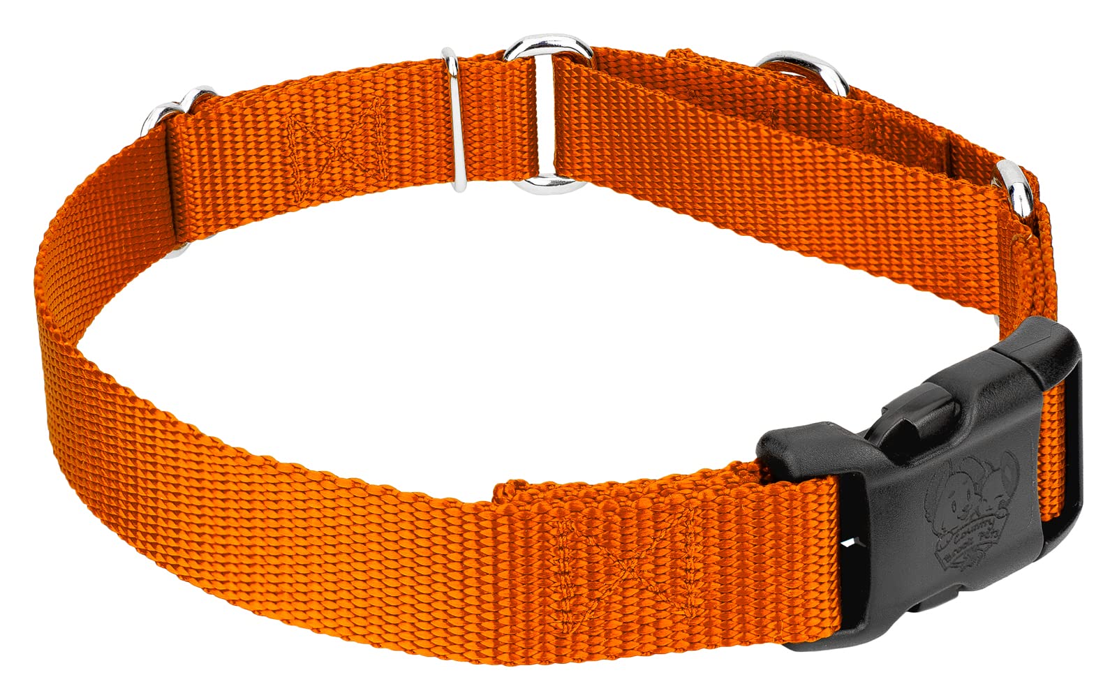 Country Brook Petz - Made In The Usa - Durable Nylon Martingale With Deluxe Buckle - 30+ Vibrant Color Options (Orange, 5/8 Inch, Extra Small)