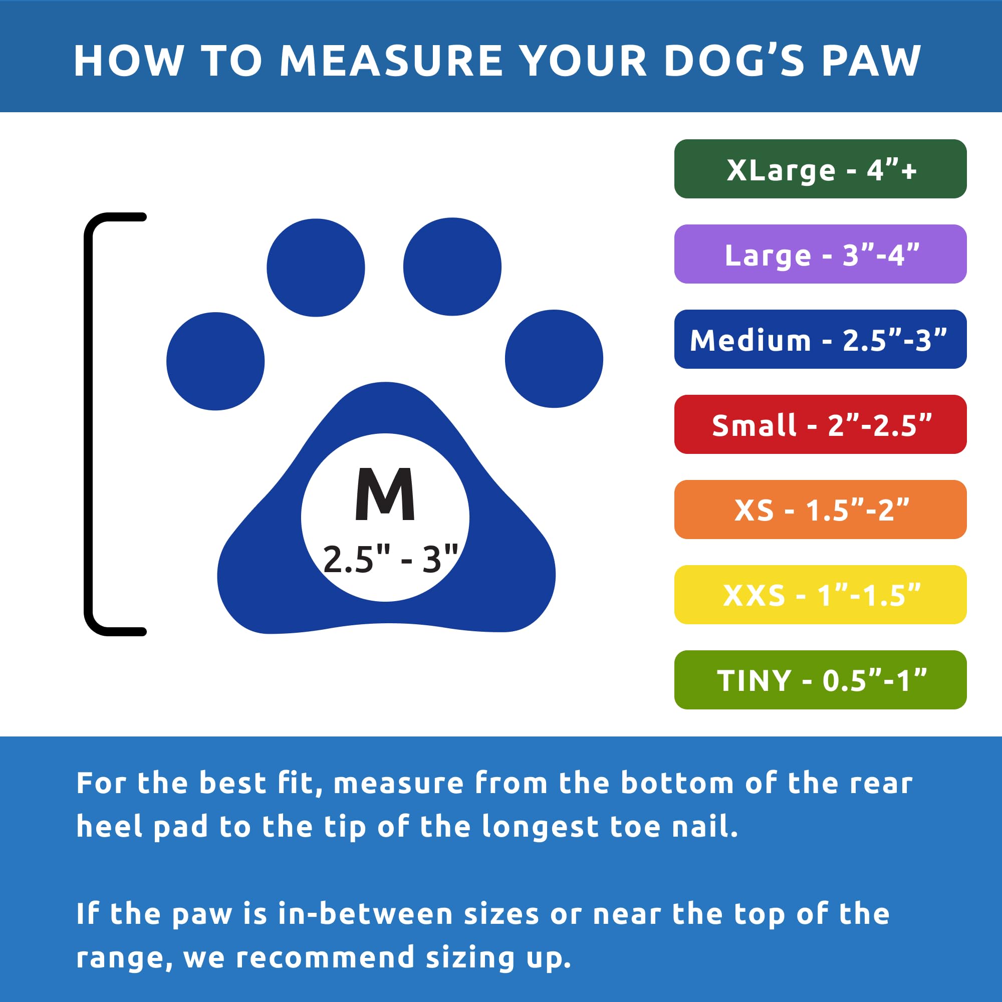 PawZ Rubber Dog Boots for Medium Paws - All-Weather Waterproof Dog Shoes, Anti-Slip Traction for Rain, Snow, Mud & Hot Pavement