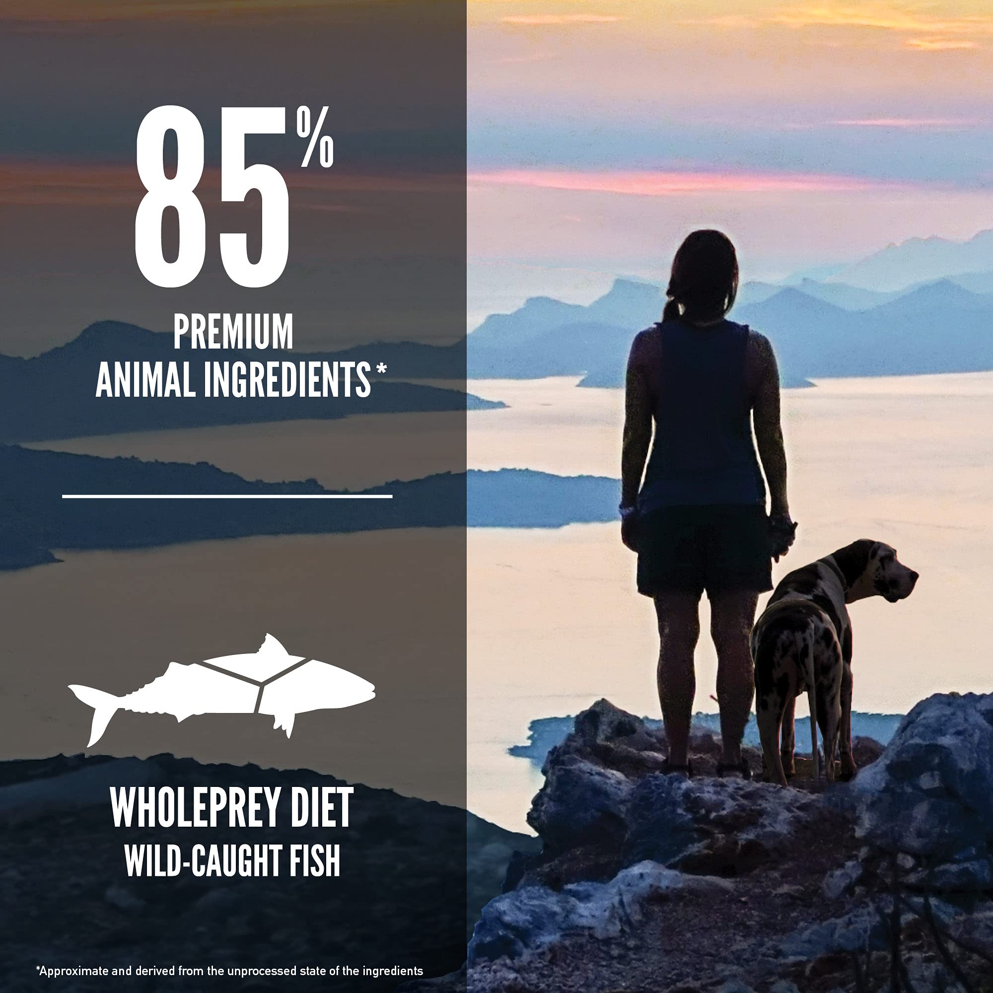 ORIJEN Six Fish Dry Dog Food, Grain Free and Chicken Free Dog Food, Fresh or Raw Ingredients, 13lb