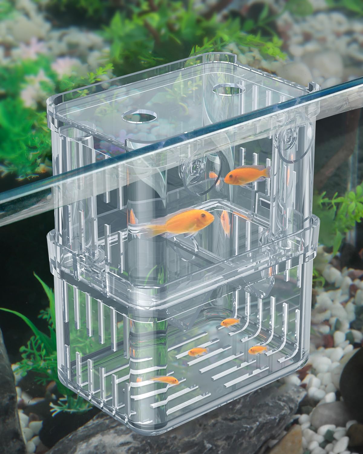 Pawfly Aquarium Breeding Box - Transparent Plastic Breeder Box For Fish Tank, Fry Hatchery Incubator For Baby Fish, Shrimp, Bett
