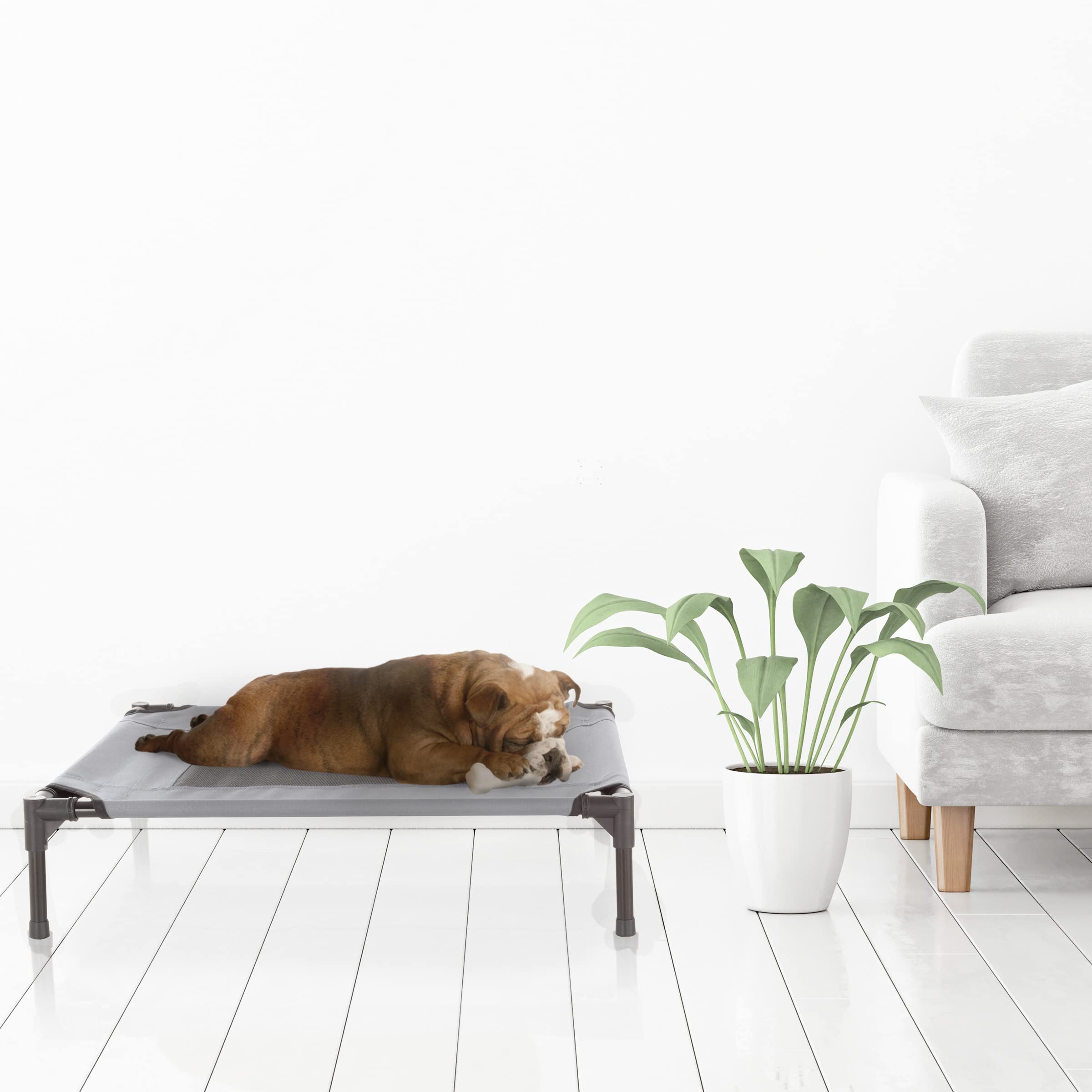 Elevated Dog Bed - 30X24-Inch Portable Pet Bed With Non-Slip Feet - Indoor/Outdoor Dog Bed Or Puppy Cot For Pets Up To 50Lbs By