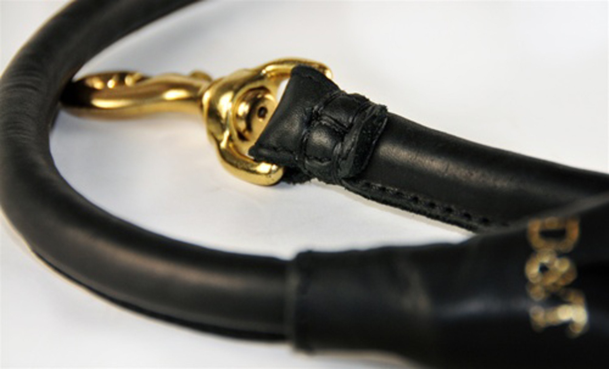 Dean And Tyler Tamed Beauty Rolled Leash, Black 6-Feet By 1/2-Inch Diameter With Handle And Solid Brass Hardware.