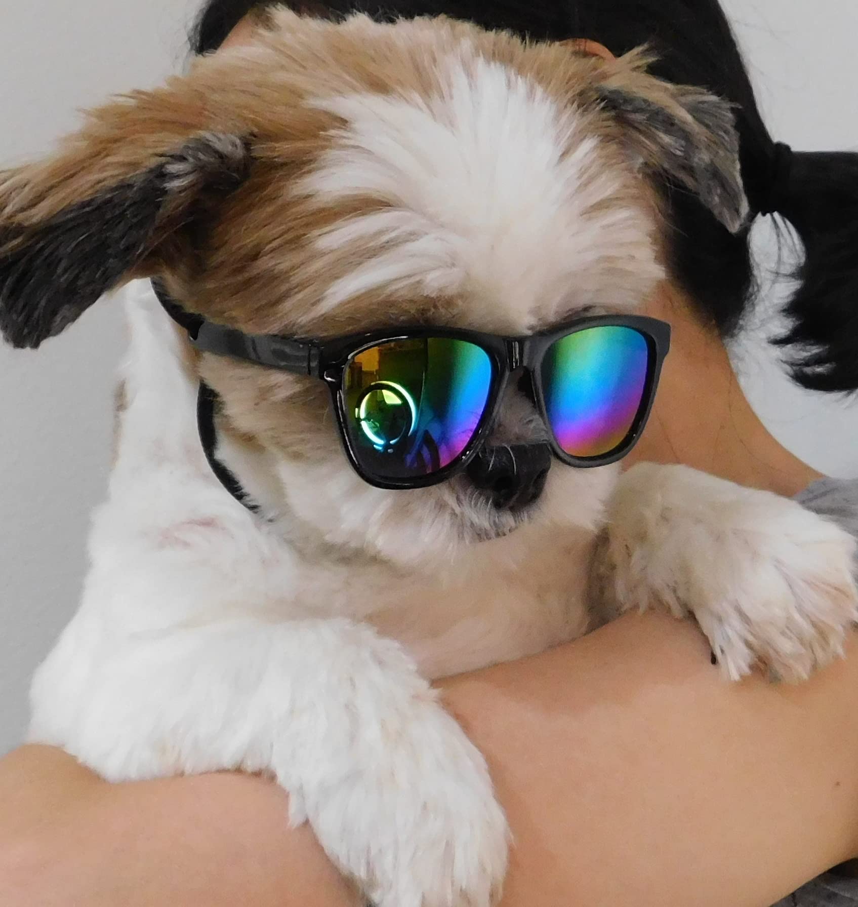 G014 Dog Cat Pet 80S Sunglasses Goggles For Small Breeds Up To 15Lbs (2-Pack Black+ Black-Rainbow Mirror)