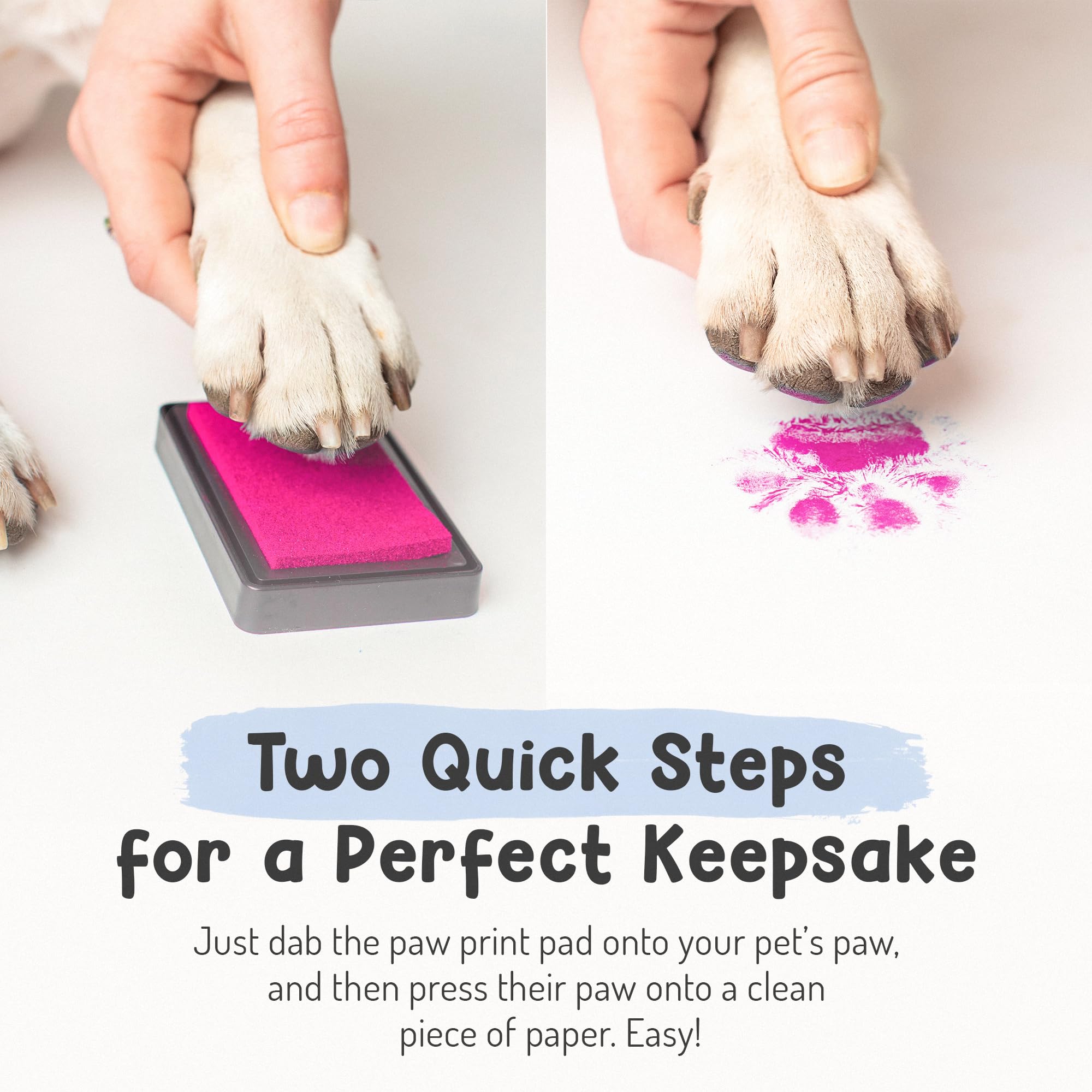 Pet Paw Print Impression Kit | Dog Ink Paw Print Kit | Pet Paw Print Kit | An Easy To Use Paw Print Stamp Pad For Dogs | Contains An Ink Pad For Dog Paw Prints That You Can Treasure (Blue, Big)