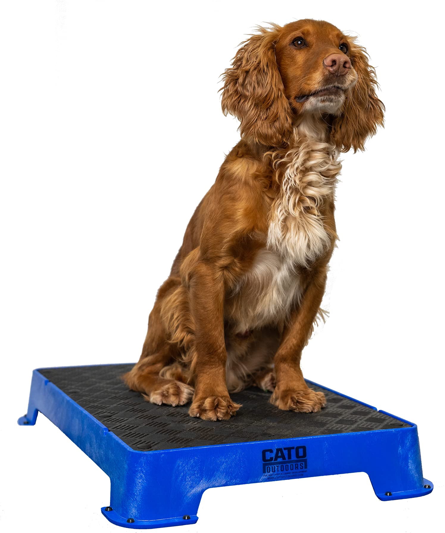 Cato Board - Dog Training Platform (Black, Rubber Surface)