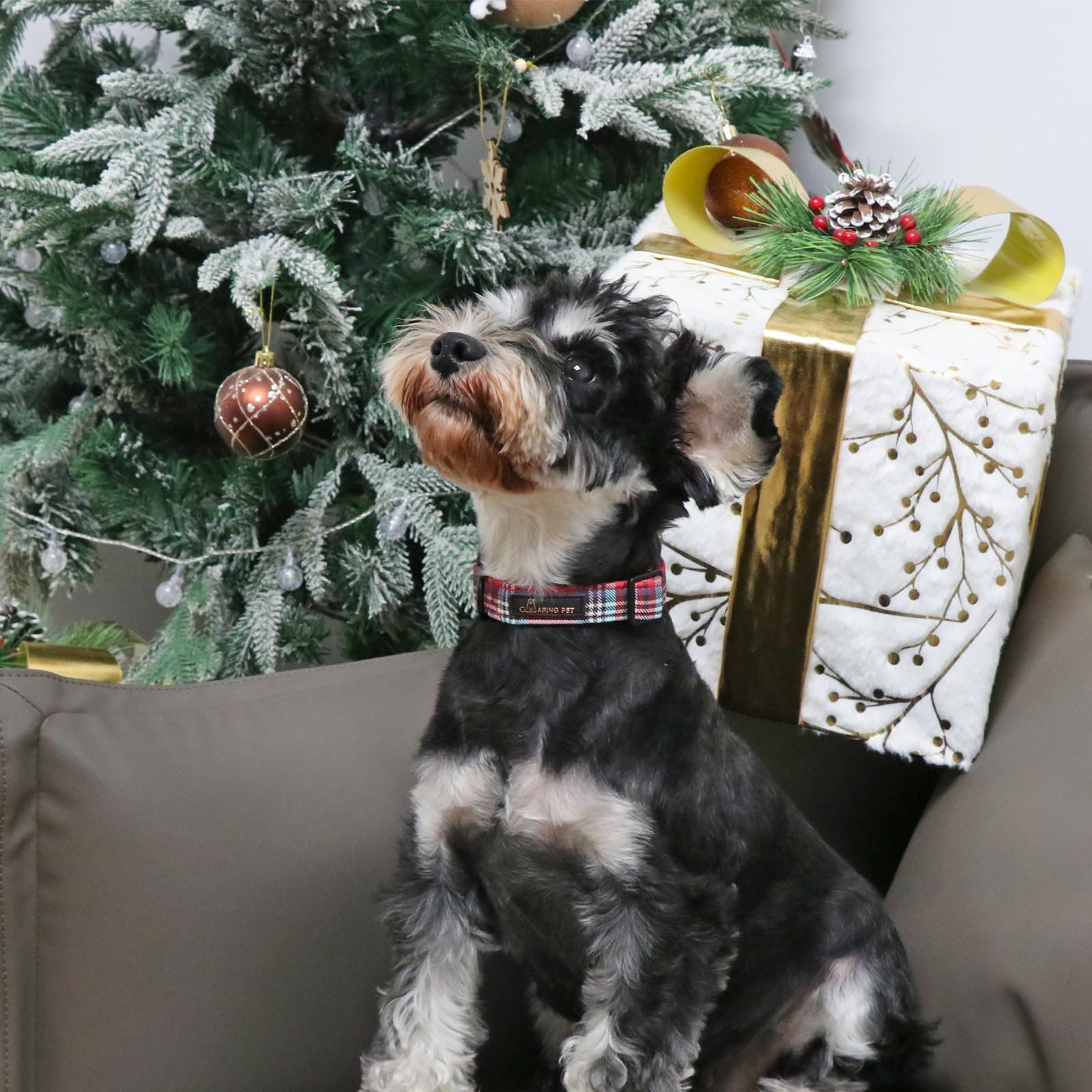 Aring Pet Christmas Dog Collar Cute Red Plaid Dog Collar, Adjustable Cotton Christmas Dog Collars Puppy Collar For Small Medium
