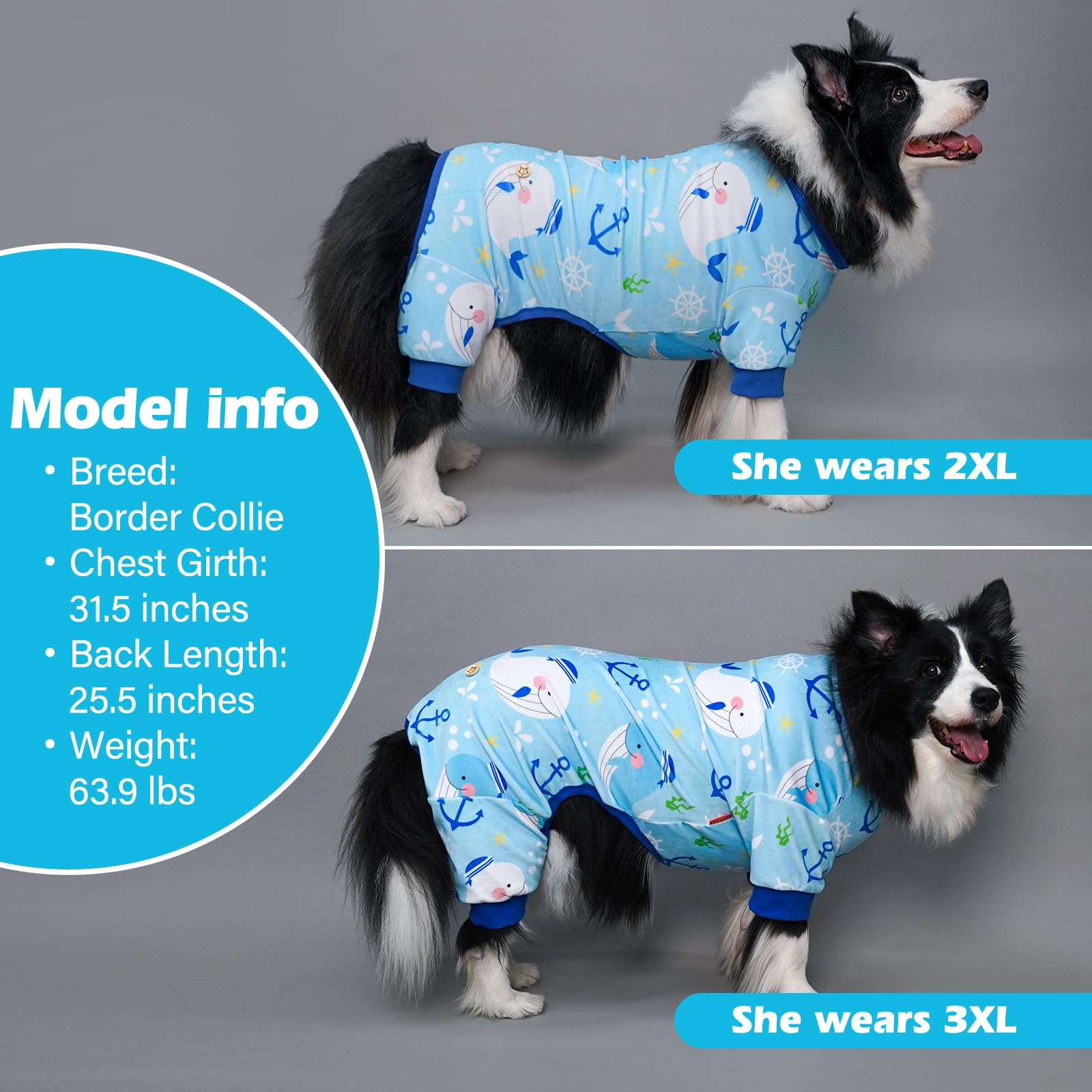 Kyeese Dog Pajamas Whale Dog Surgery Recovery Suit Dog Pajamas Medium Sized Dog Stretchy Dog Clothes Dog Coat Dog Onesie Dog Costume Cat Clothes Dog Body Suits After Surgery