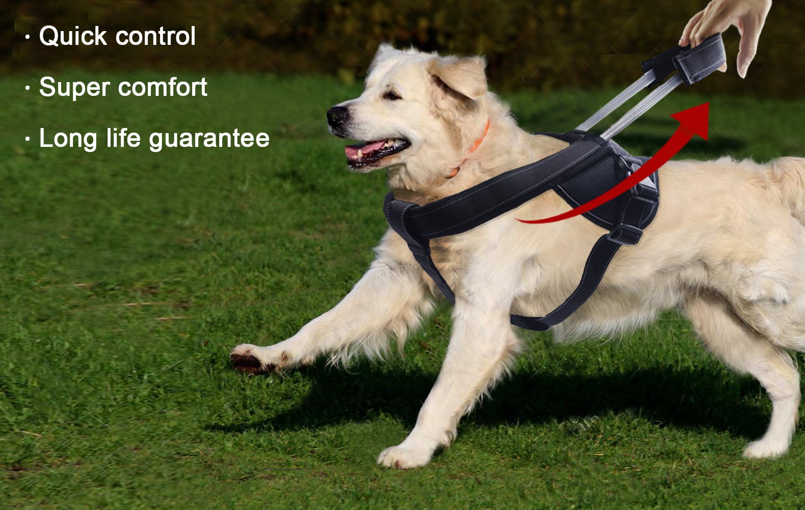 Heavy Duty Dog Harness For Large Dogs, No Pull Dog Vest Harness With Handle Extensible, Reflective Stitching (Xl)