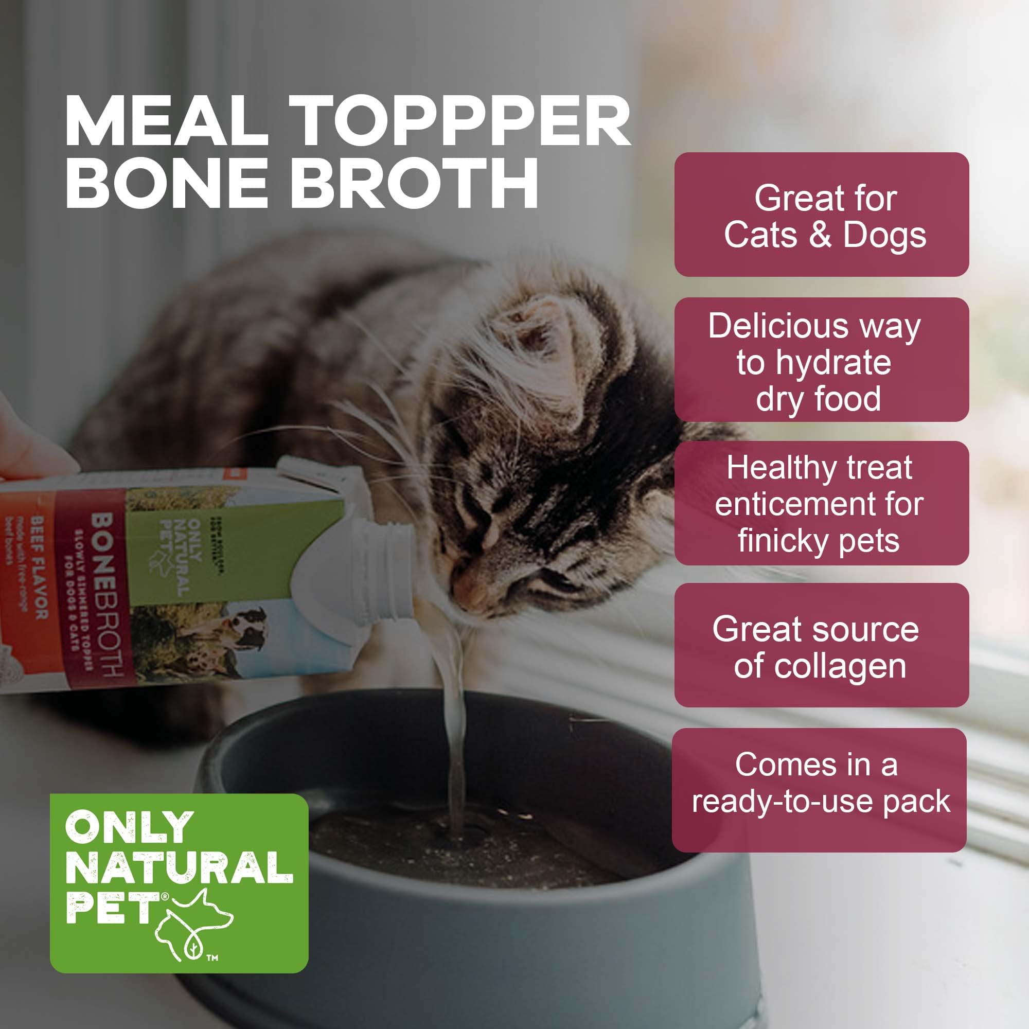 Only Natural Pet Bone Broth Beef Flavor Dog & Cat Meal Topper, 100% Human-Grade Slow-Simmered, Free-Range for Dry Food or to Hyd