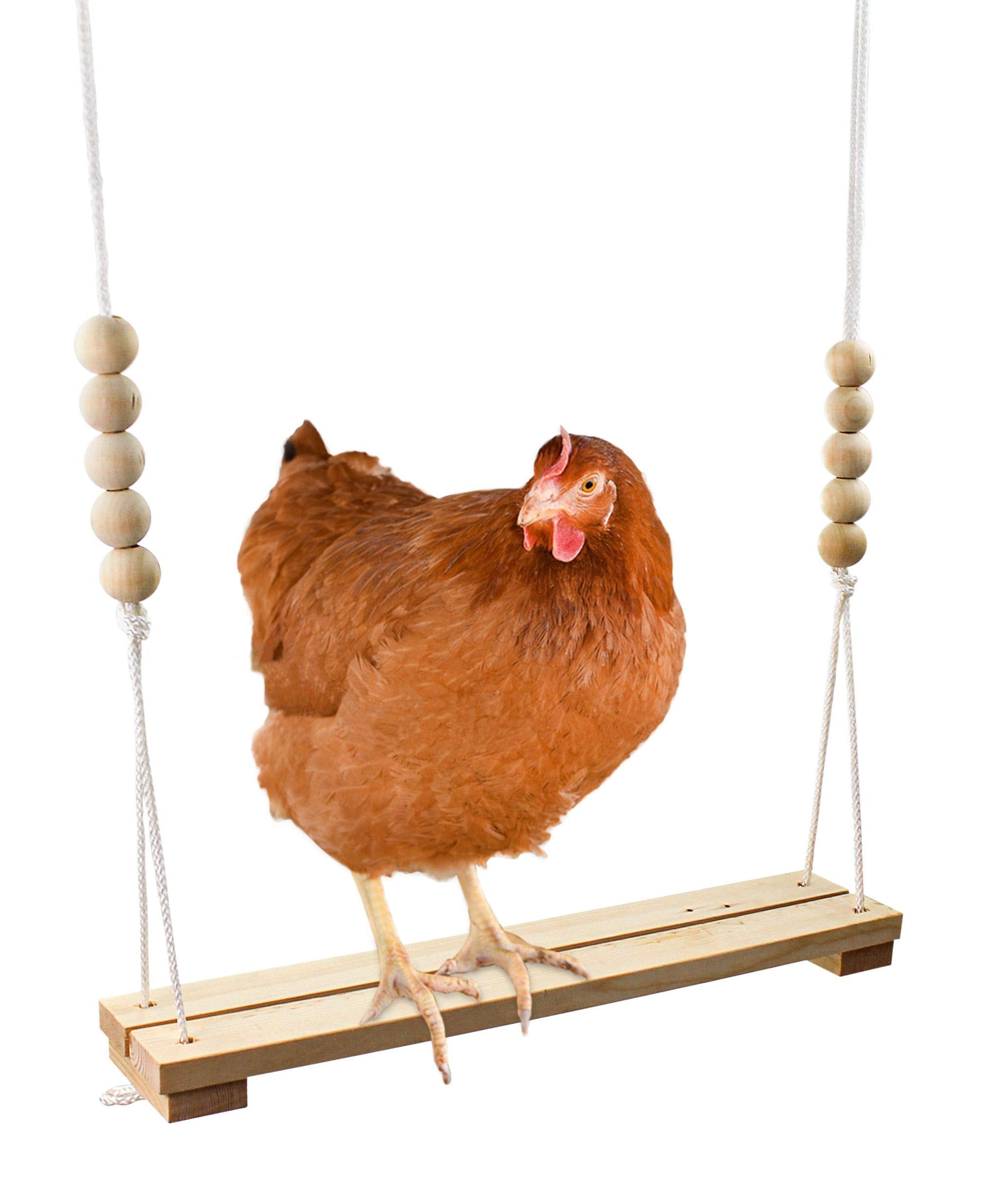 Chicken Swing Toy For Coop Handmade In Usa!!! Natural Safe Wooden Accessories Large Durable Perch Ladder For Poultry Run Rooster Hens Chicks Pet Parrots Macaw Entertainment Stress Relief For Birds