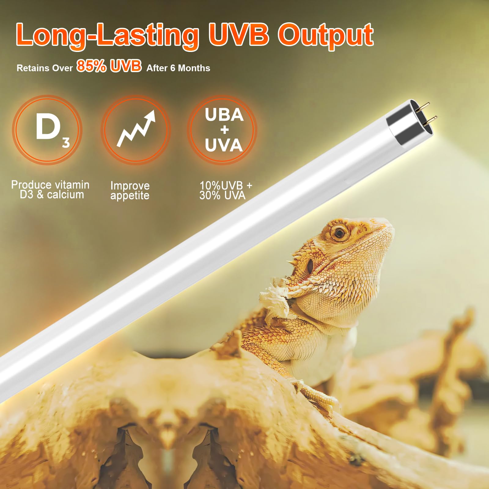 Reptidldb 8W T5 10.0 Uvb Reptile Light Fixture 12'' - High Output Uva Uvb Light For Bearded Dragons, Turtles & Snakes - Compact