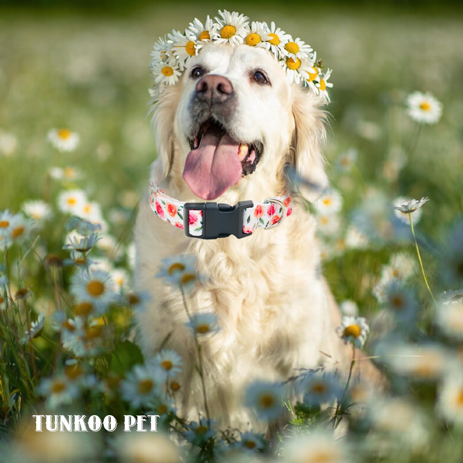 Tunkoo Flower Dog Collar With Rose Cute Adjustable Premium Cotton Collar Durable Plastic Buckle For Small Medium Large Boys Girl