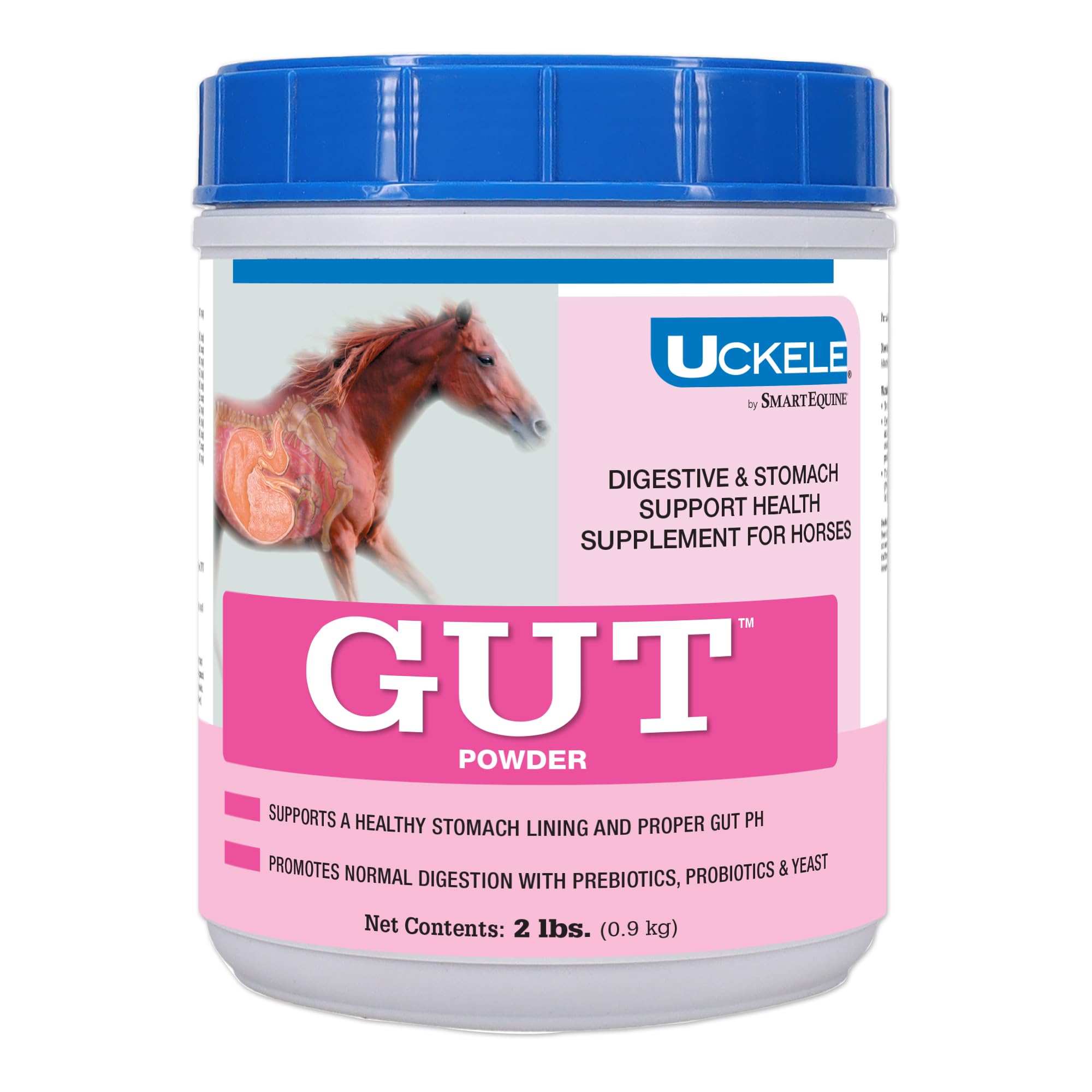 Uckele by SmartEquine Gut Powder | Healthy Gut Probiotics for Horses | Equine Prebiotic & Probiotic Powder | Horse Stomach Suppl