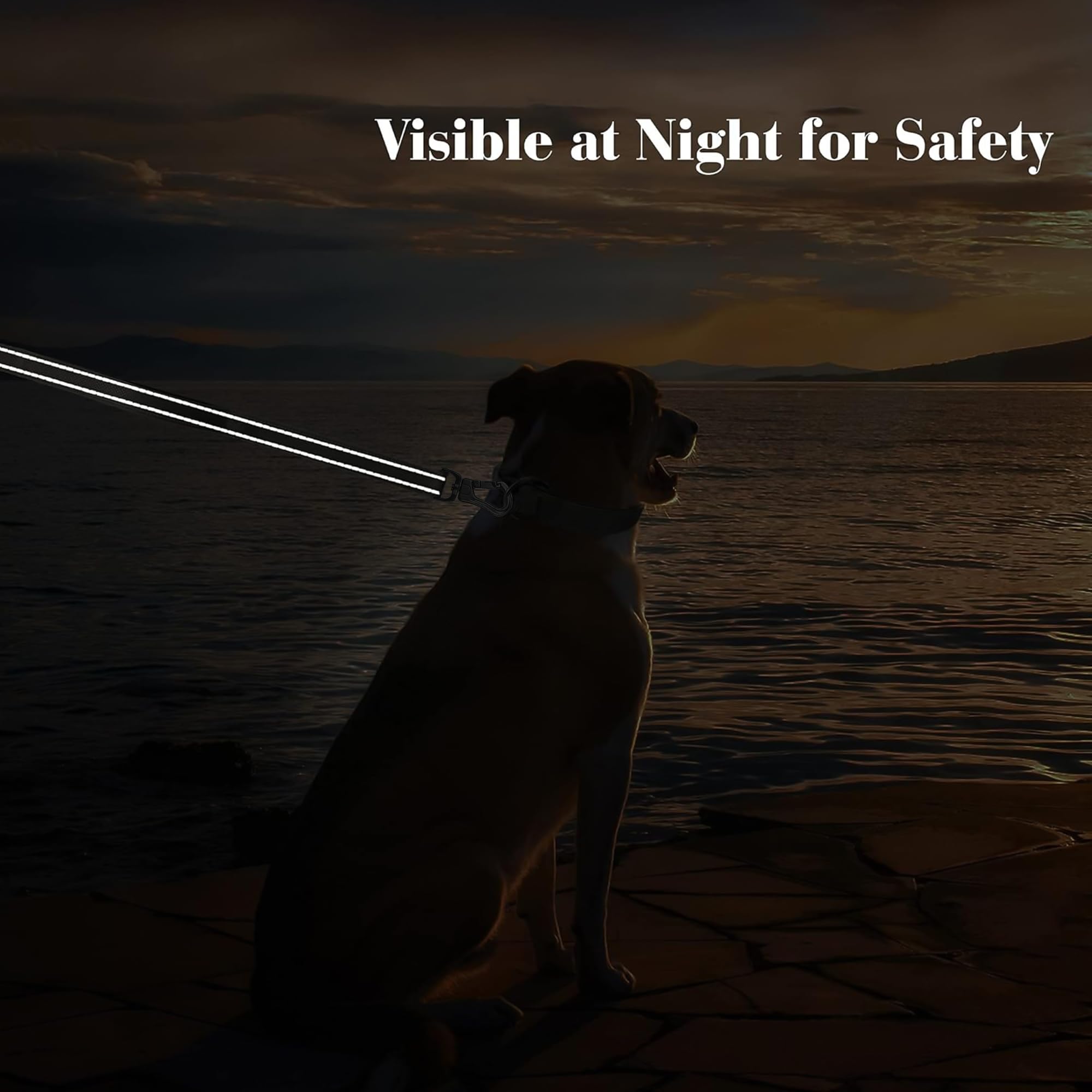 Petifine 4Ft Heavy Duty Dog Leash With Soft Padded Double Handle, Durable Strong Clasp Dog Leashes, Reflective Nylon Walking Lea