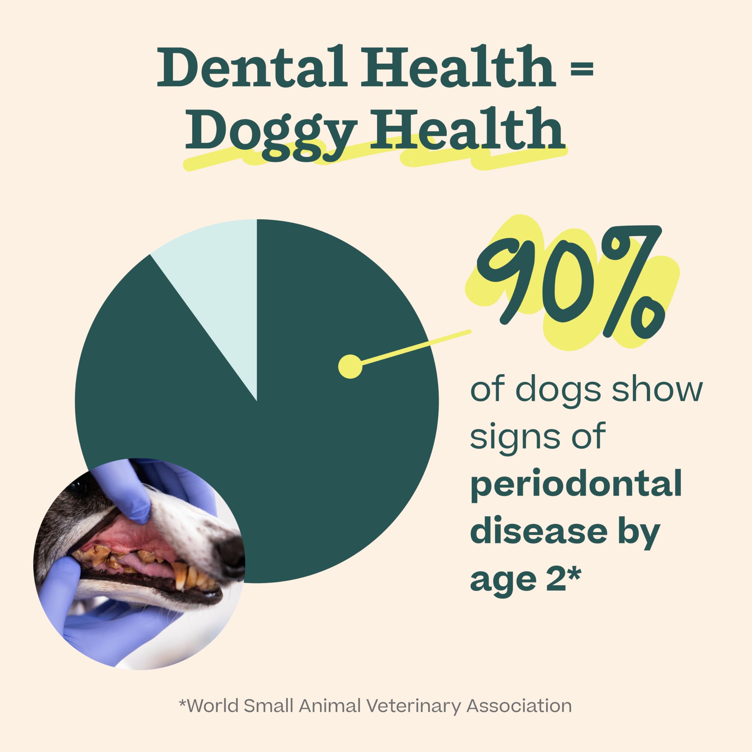 Woof Doggy Dental Pupsicle Mix - Dog Teeth Cleaning Powder for The Pupsicle - Long Lasting Postbiotic Dental Enzyme Mix to Suppo