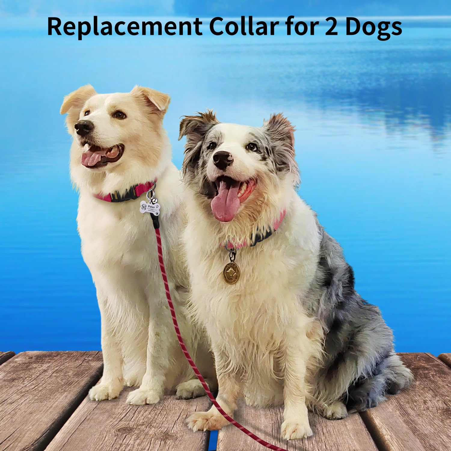 Doglinsen Shock Collar Replacement Strap, Dog Training Collar Replacement Strap, 3/4 Inch Replacement Collar For Delupet Bousnic