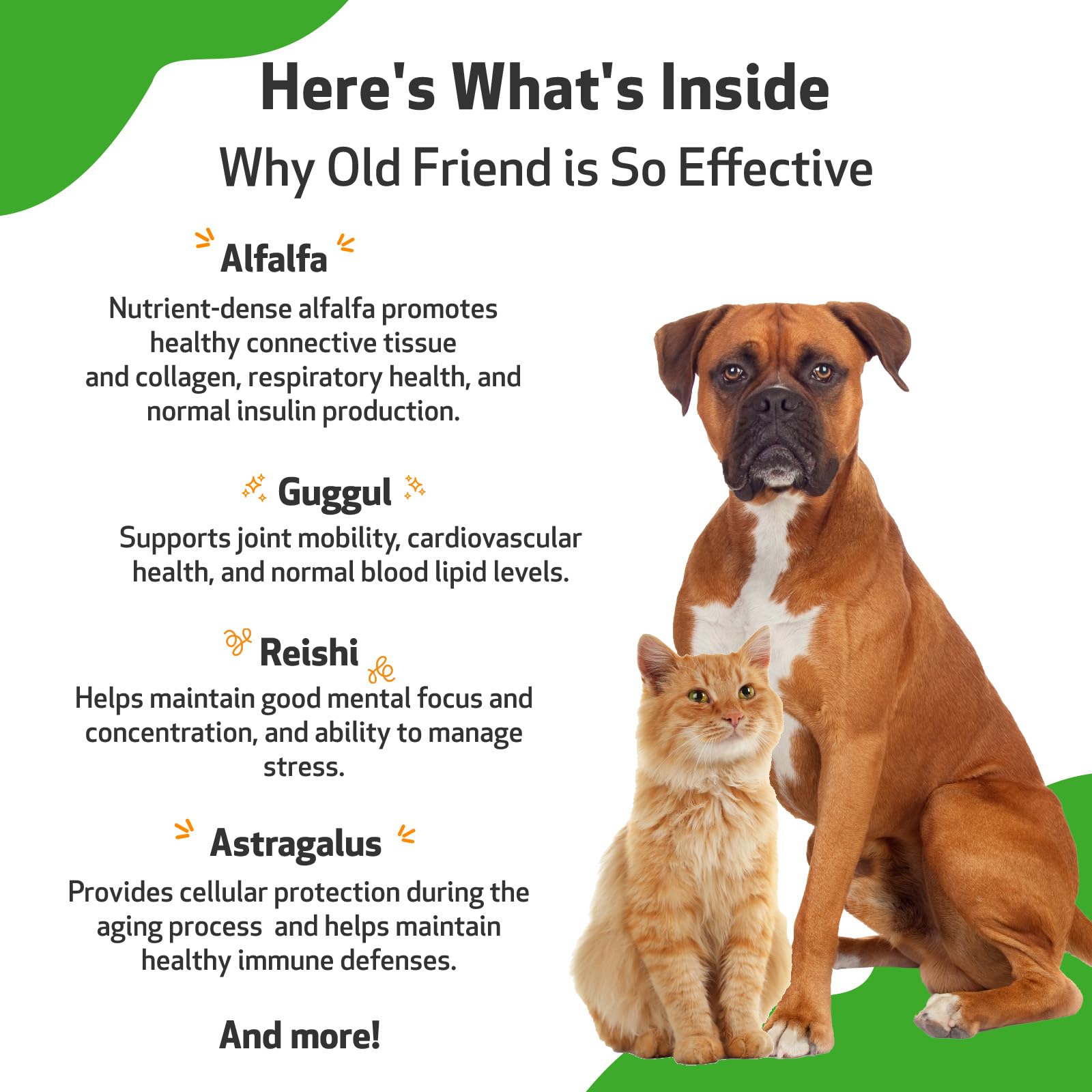 Pet Wellbeing Old Friend for Senior Dogs & Cats- Supports Immune System Health, Joint Mobility, Healthy Energy Levels, Alfalfa,
