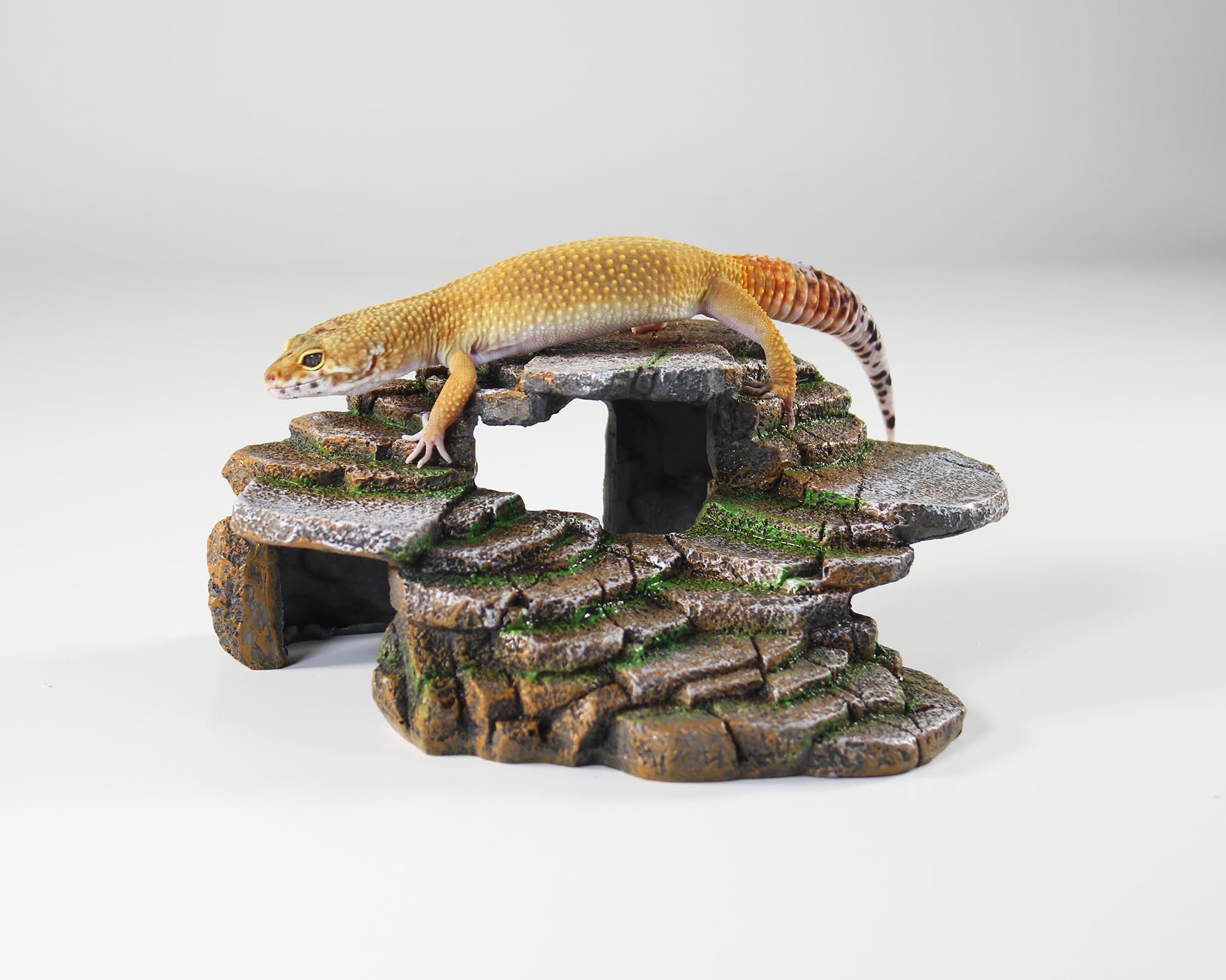 Penn-Plax Reptology Shale Scape Step Ledge & Cave Hideout – Basking Area - Decorative Resin For Aquariums & Terrariums – Great For Reptiles, Amphibians, And Fish – Medium