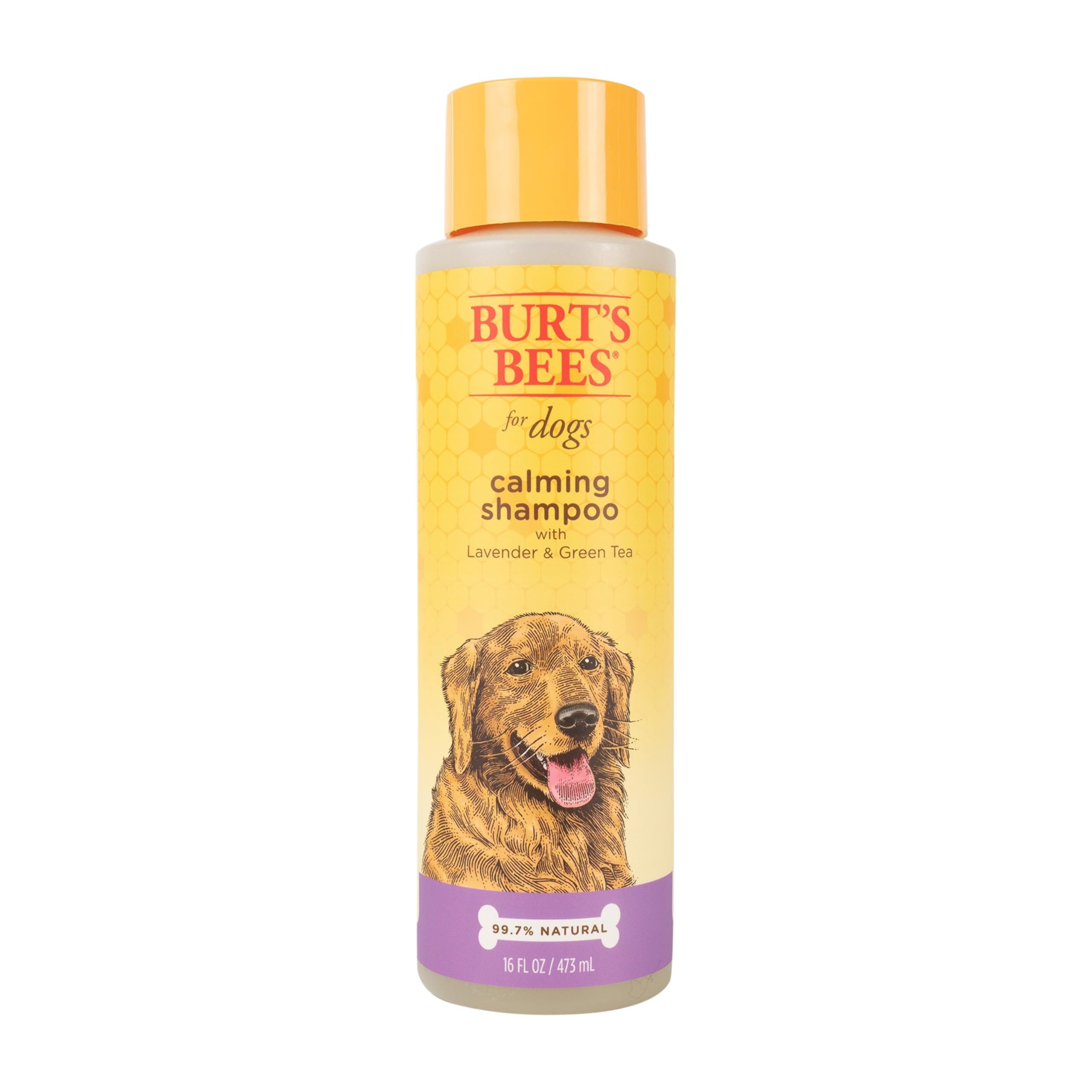Burt'S Bees For Pets Calming Dog Shampoo With Lavender And Green Tea, 95% Natural Origin Formulas, Soothing Canine Cleanser - Gentle Wash, 16 Oz