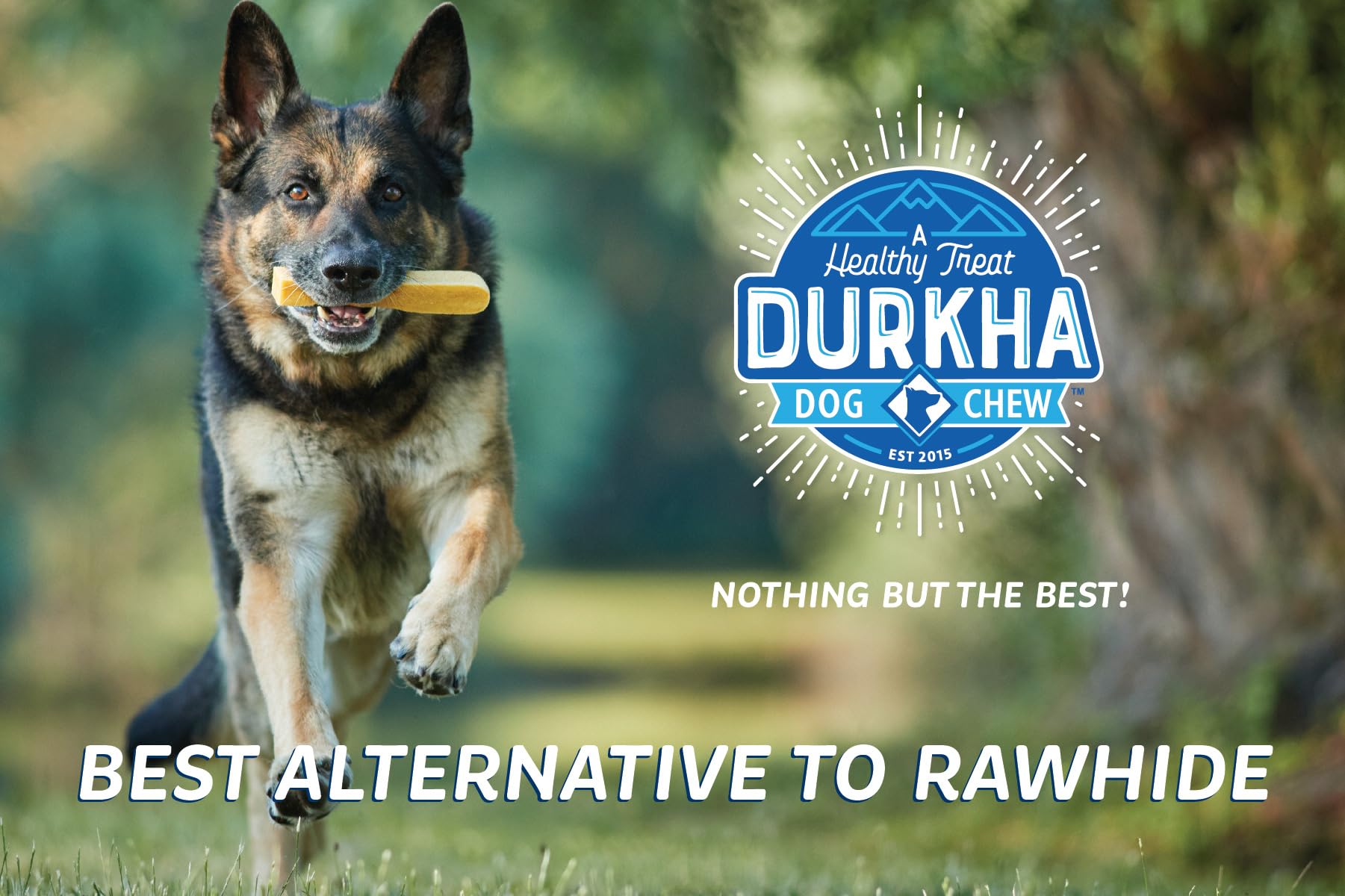Durkha Yak Cheese Chews: Himalayan Yak Cheese Dog Chews- Natural, Healthy & Long Lasting Dog Treats - Grain, Gluten & Lactose-Fr