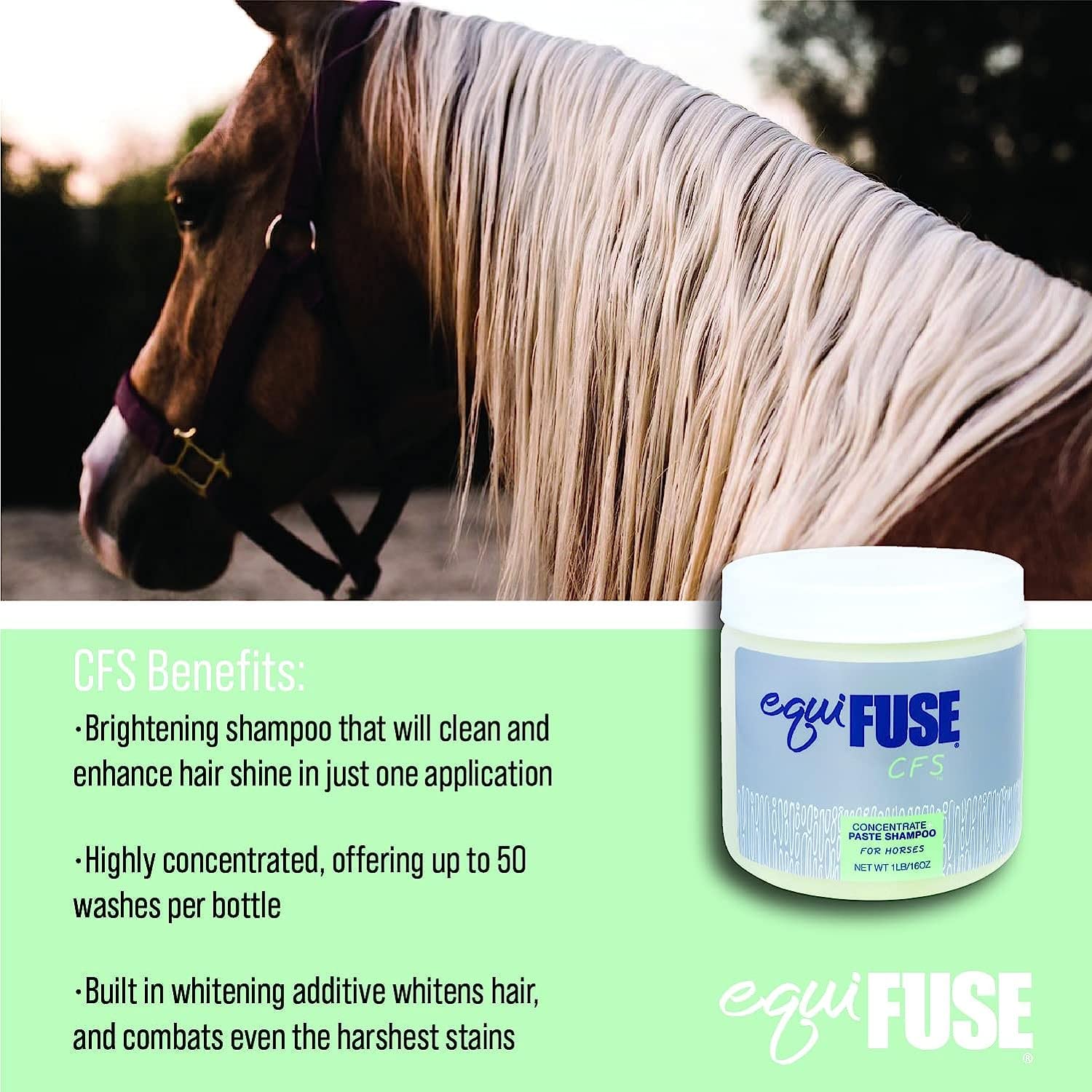 Equifuse Cfs Concentrate + Paste Horse Shampoo | Formulated For Deep Cleansing And Superior Shine On Hair |100% All-Natural Coat Brightener | 16 Oz