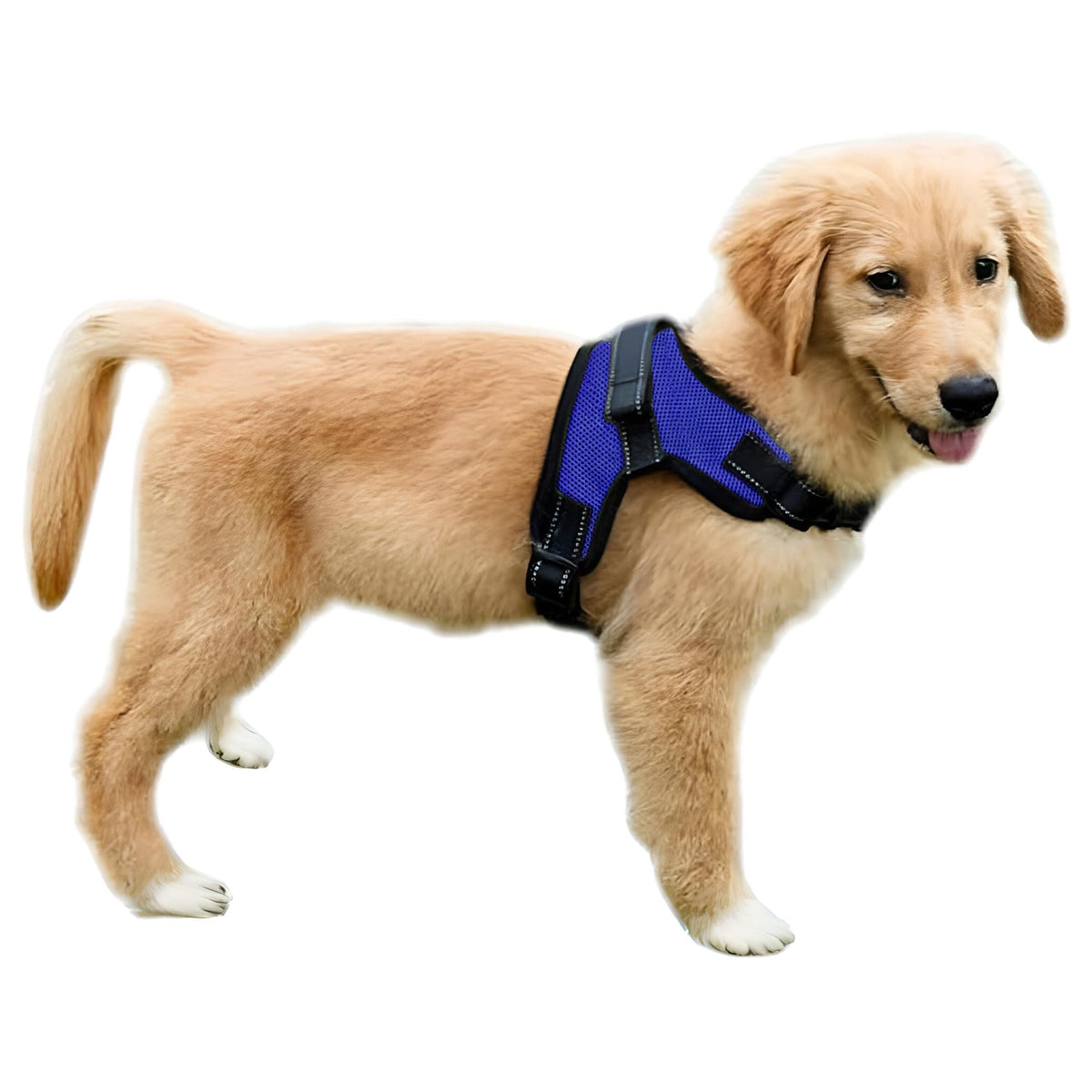 Copatchy Dog Harness Small Sized Dog - All Weather Mesh Overhead Adjustable No Pull Vest Puppy Reflective Harness With Handle For Small And Medium Dogs By Copatchy - Harness (Blue) Small