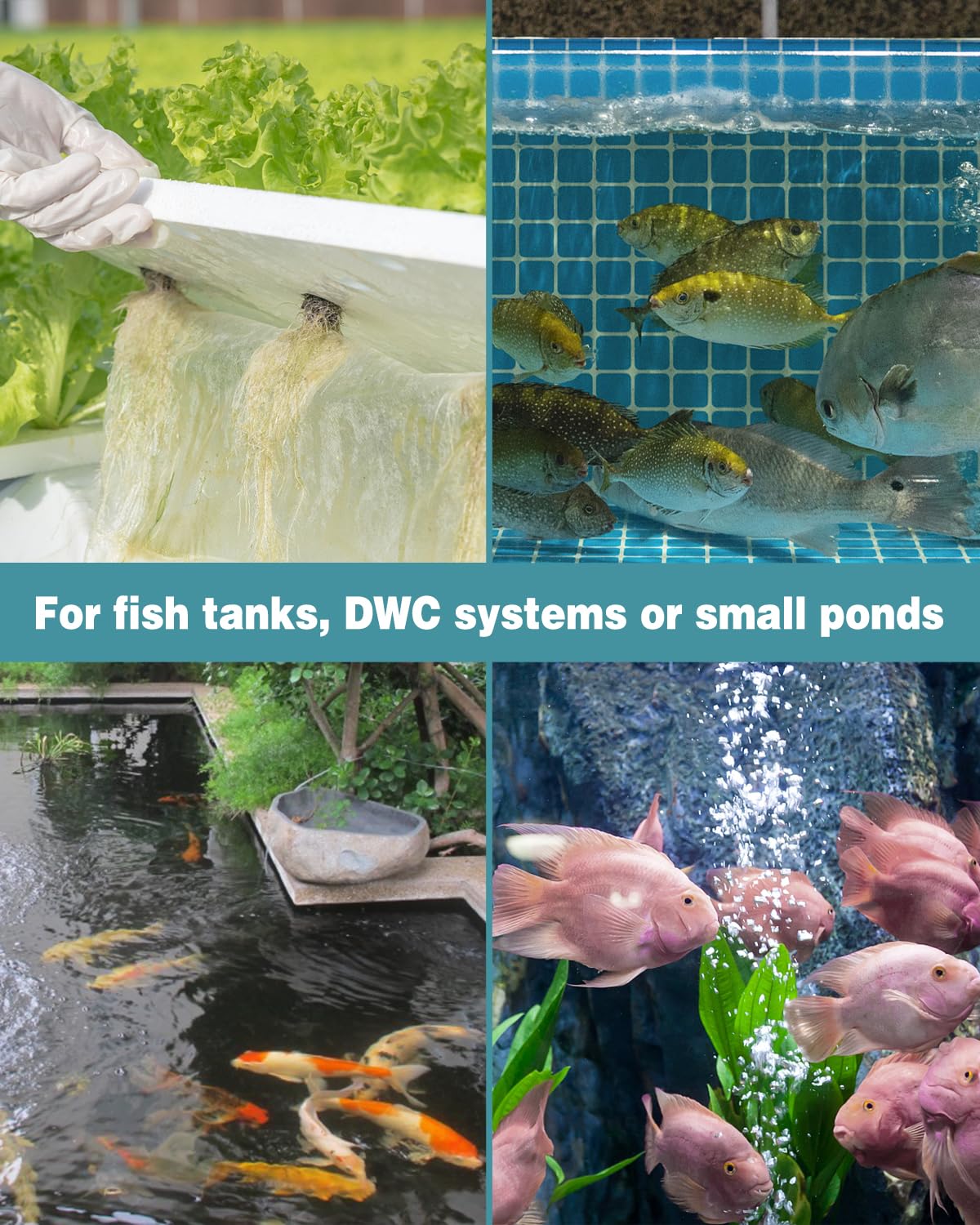 Pawfly Aquarium 4 Inch Air Stone, Fish Tank Airstone Bubble Diffuser For Air Pumps Buckets Fish Tanks Ponds Dwc Reservoirs And Circulation