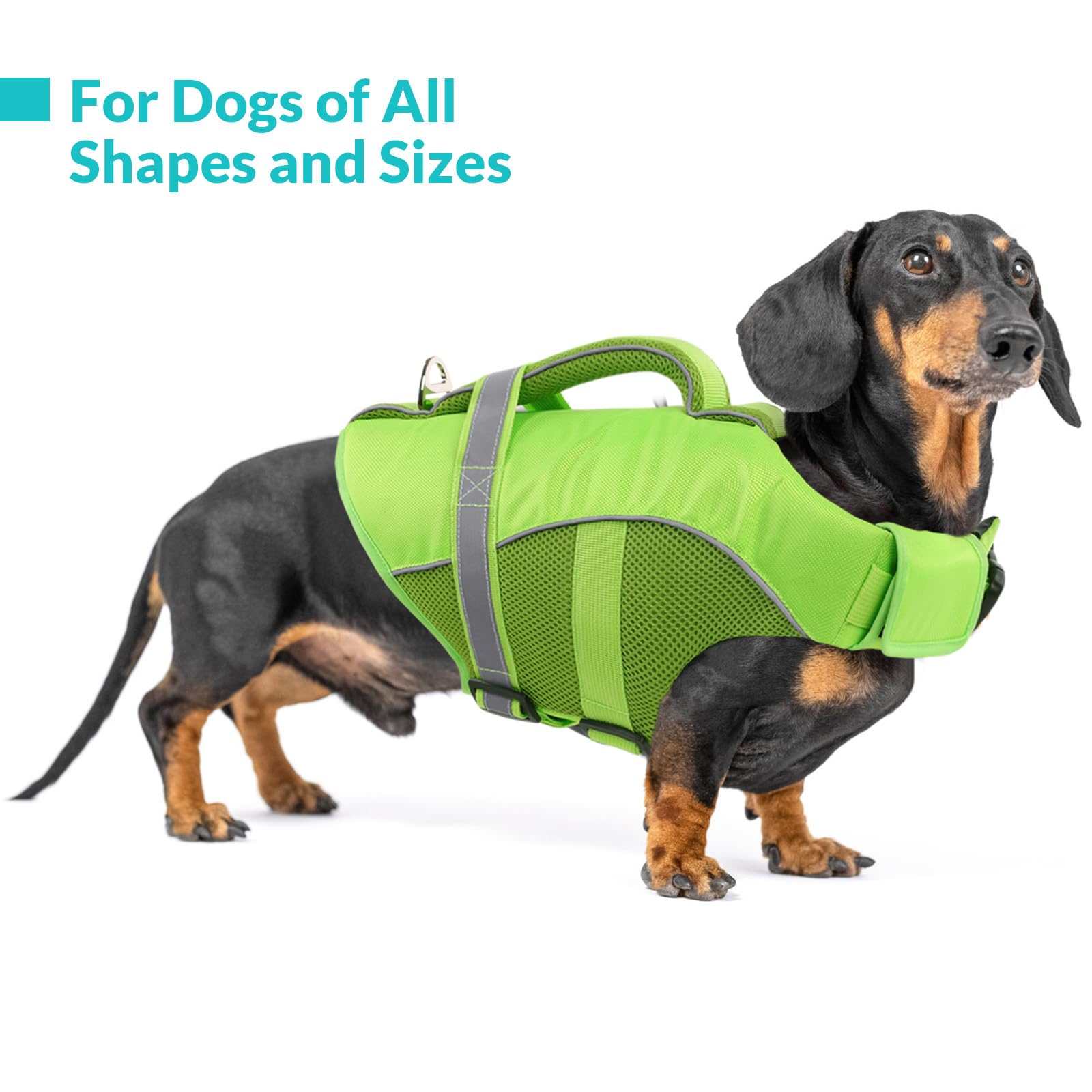 Queenmore Dog Life Jacket, Adjustable Ripstop Dog Vest For Swimming, Boating With Rescue Handle, Superior Buoyancy - Green, Xl