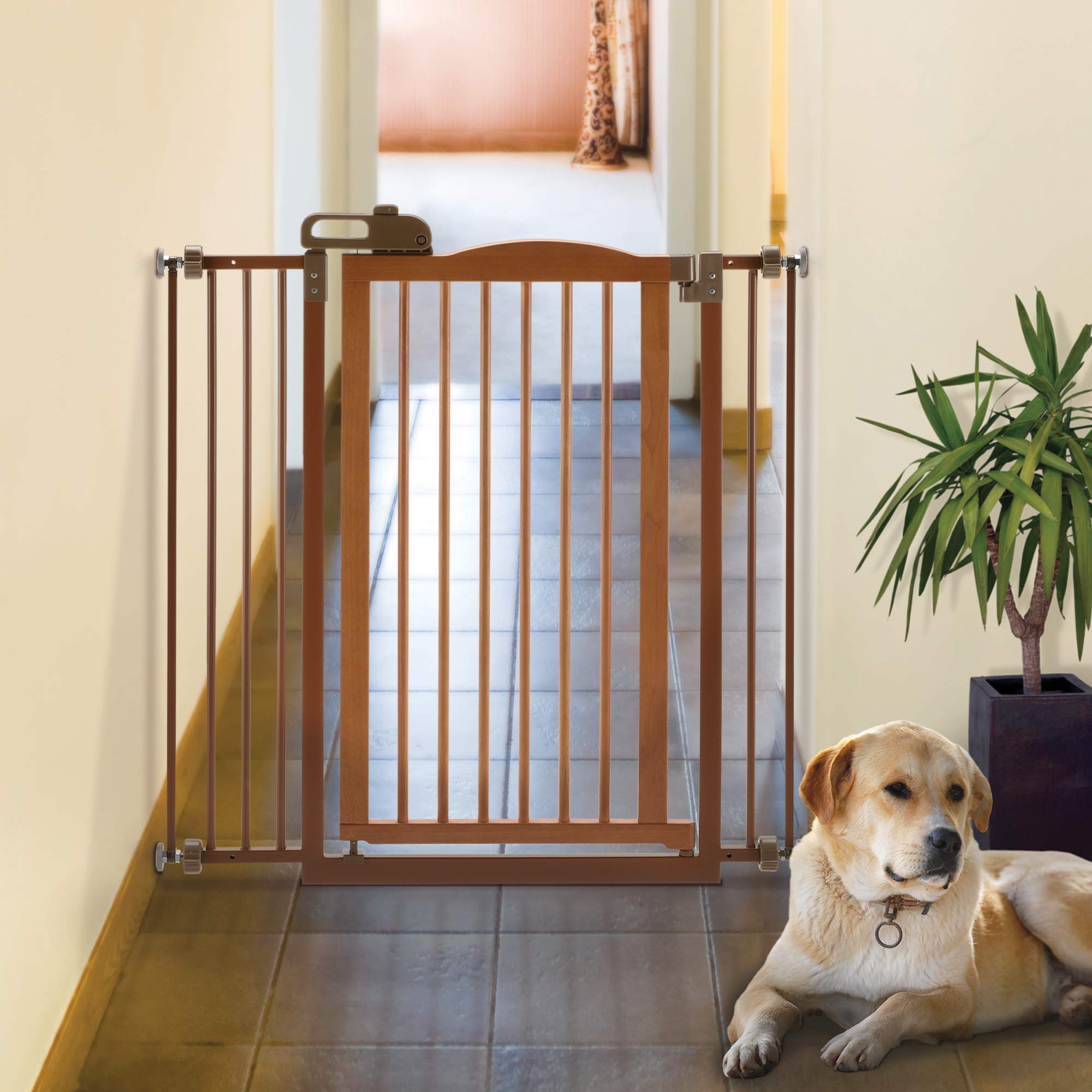 Richell Tall One-Touch Gate Ii, Dog Gate, Dog Gate, 38.4' H Tall Pet Gate, Autumn Matte