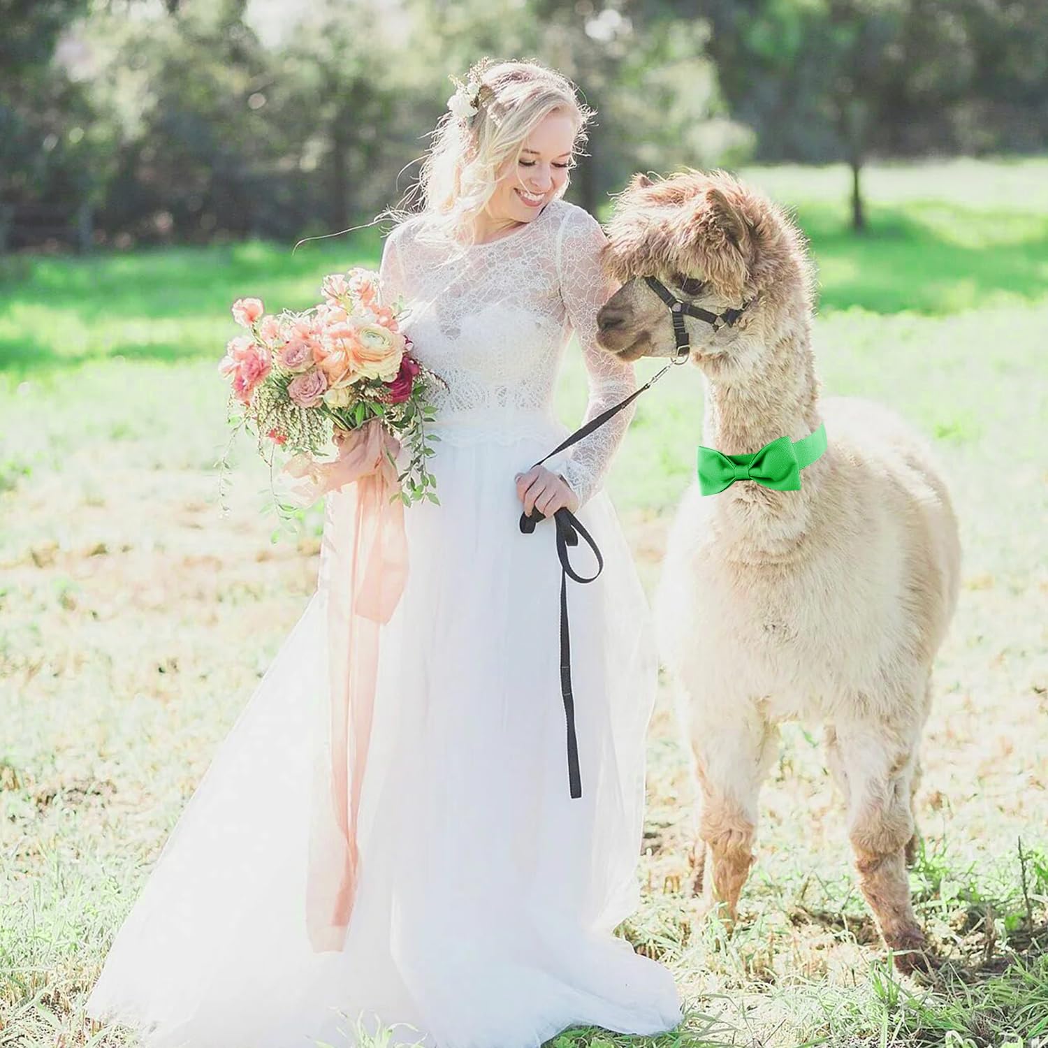 Segarty Bow Tie For Dogs, Adjustable Green Bowtie Collar For Extra Large Dogs, Durable Dog Neck Tie Tuxedo Comfortable Cotton Bo